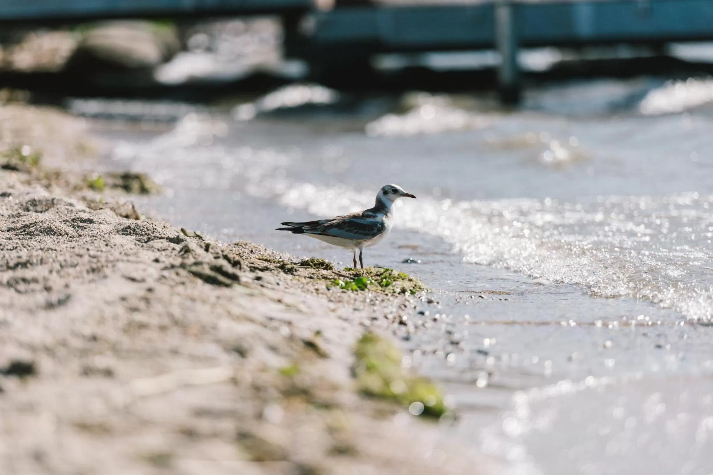 Beach in Insel der Sinne