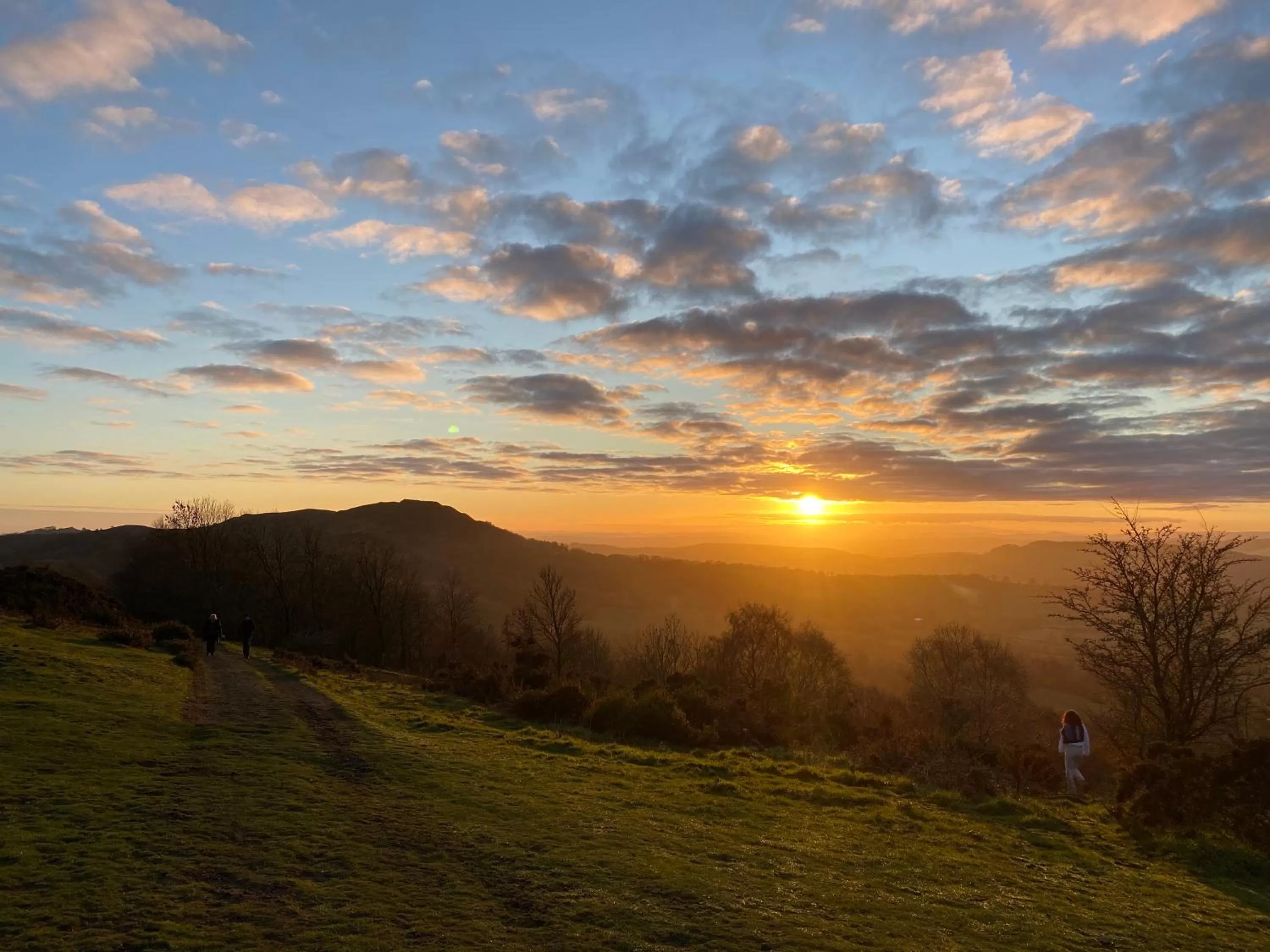 Natural landscape in Orchard Side Bed and Breakfast