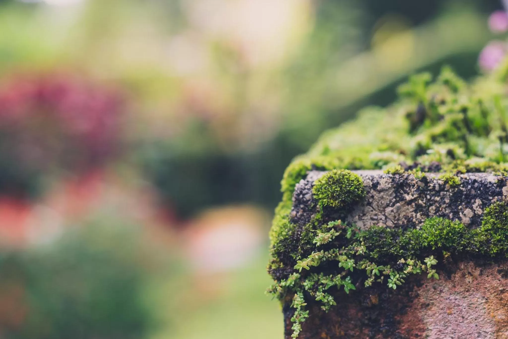 Property building in The Smokehouse Hotel & Restaurant Cameron Highlands