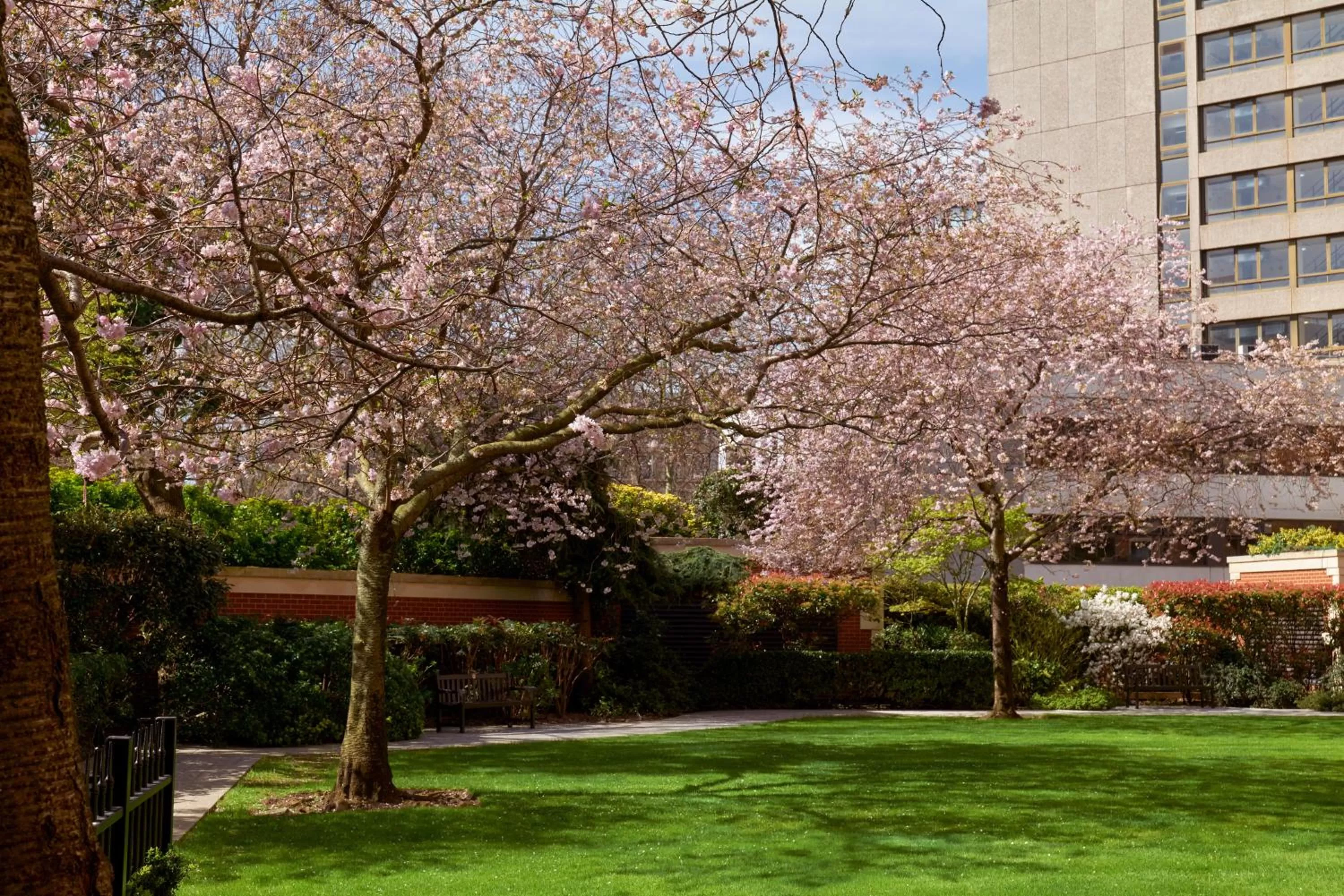 Garden in Cheval Gloucester Park at Kensington