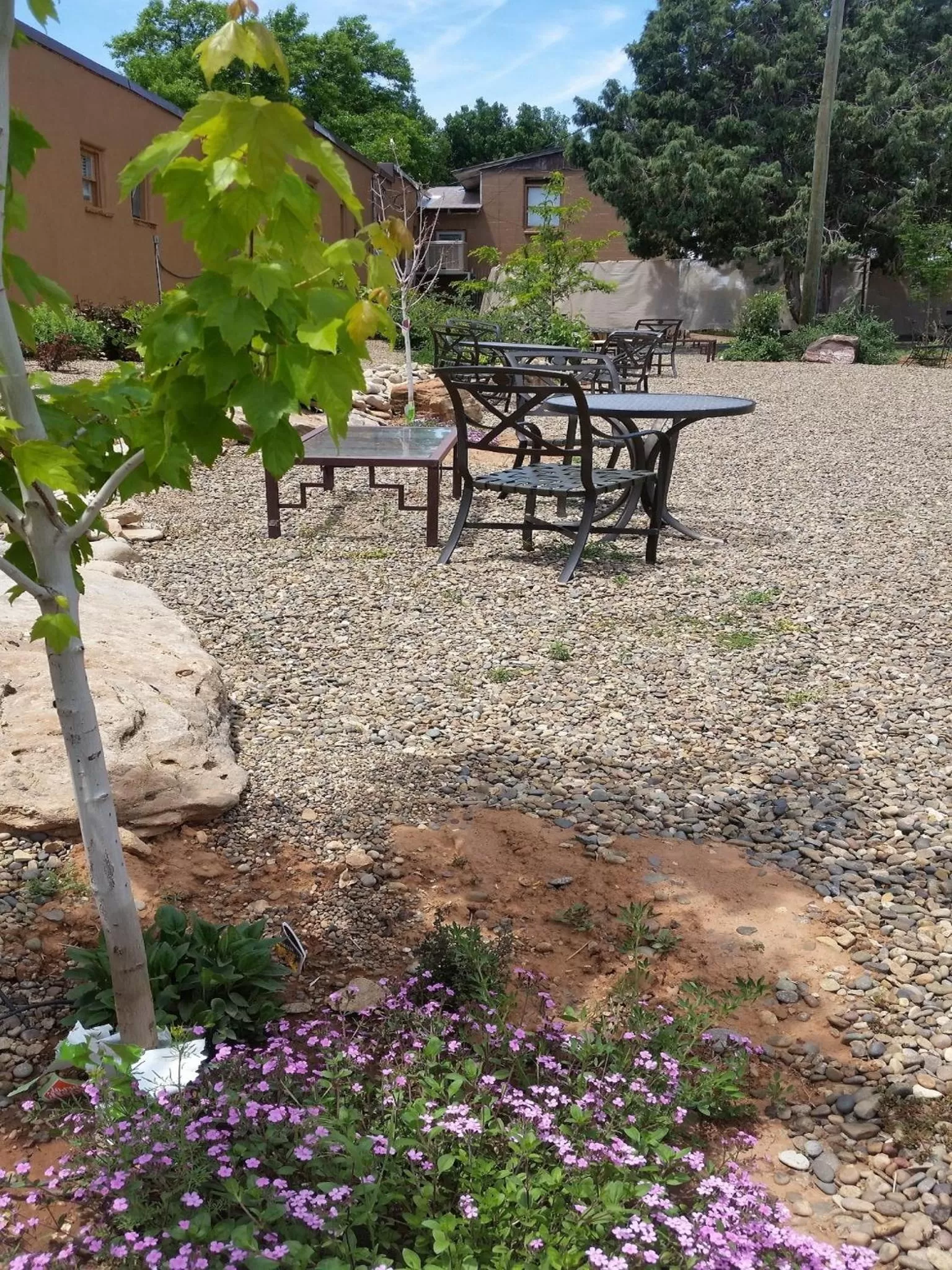 Day in Stone Lizard Lodge