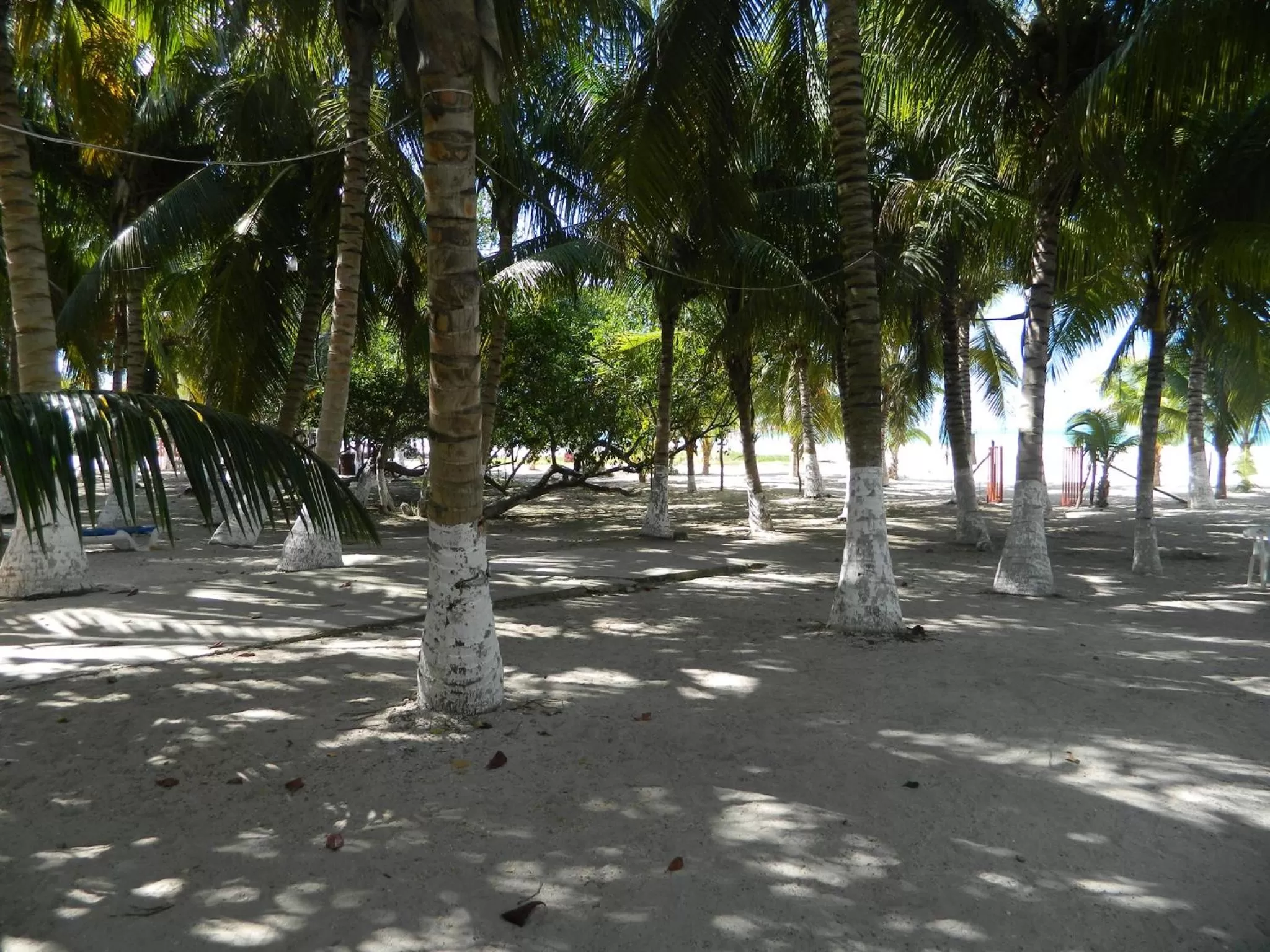 Beach in Cabañas Camping Ria Celestun