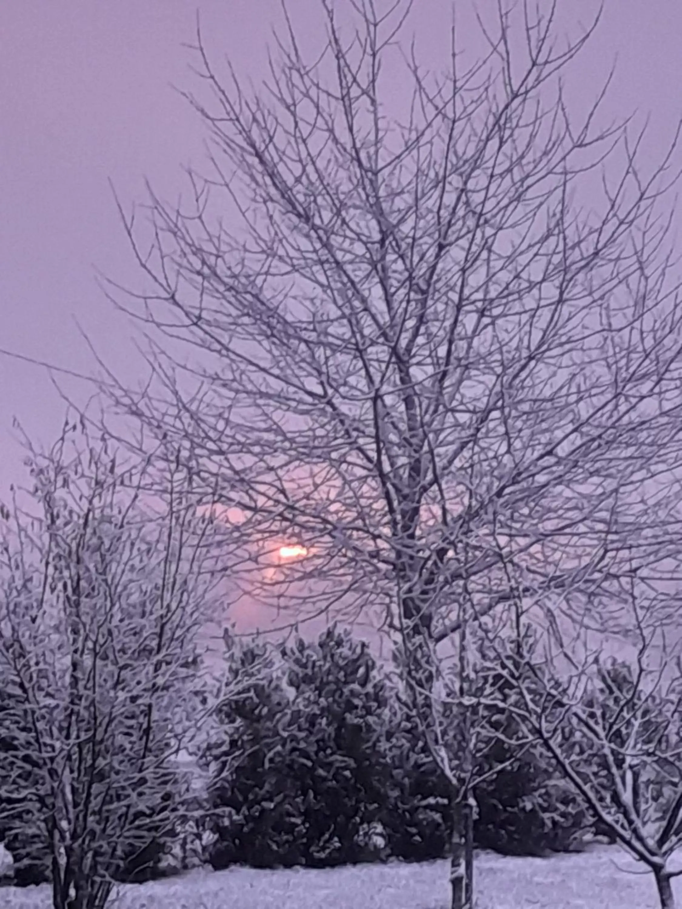 Double or Twin Room with Shower in Chambre d'hôtes Les Bruyères Double or Twin Room with Shower in Chambre d'hôtes Les Bruyères