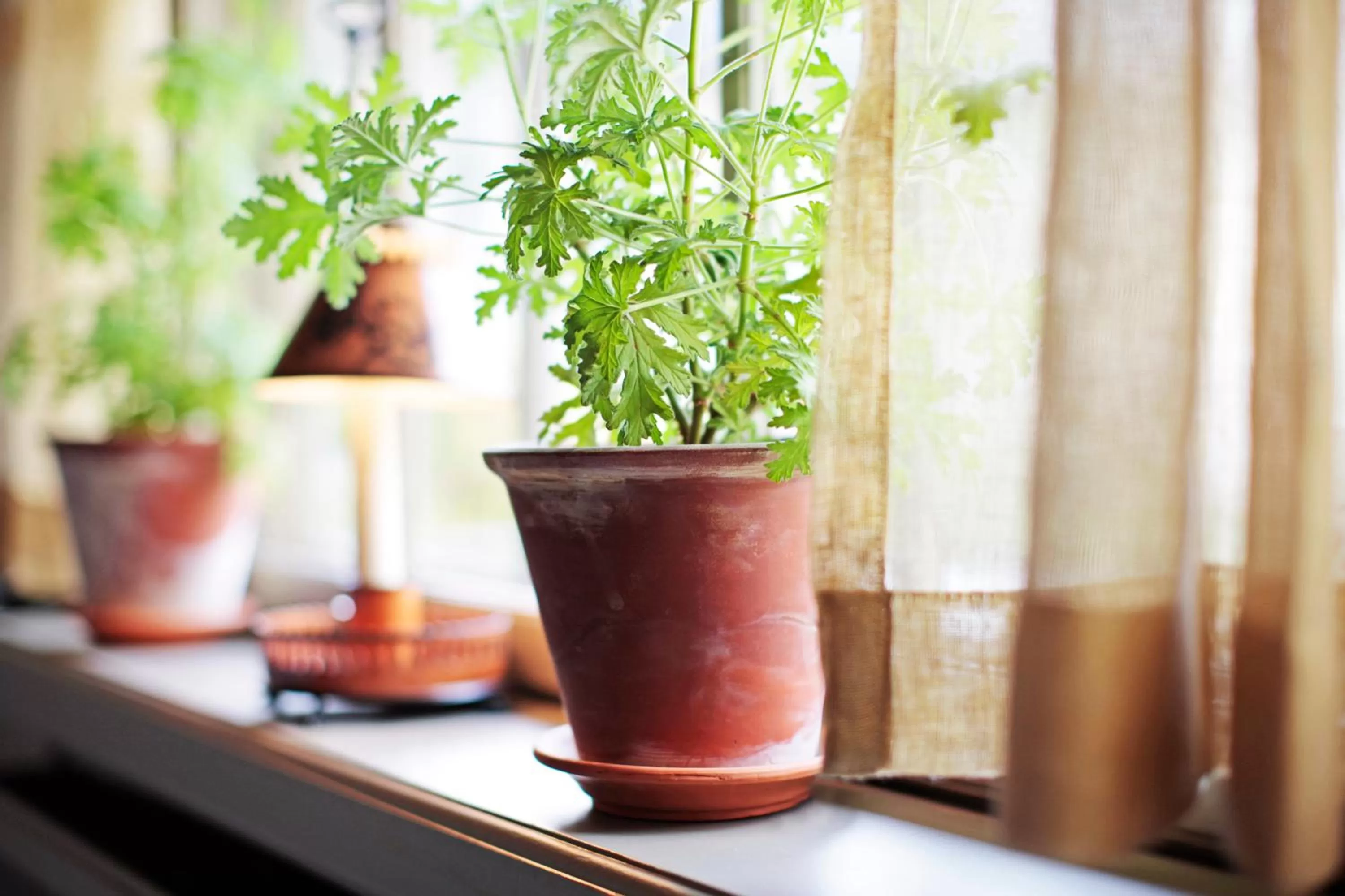 Decorative detail in Stallmästaregården Hotel, Stockholm, a Member of Design Hotels