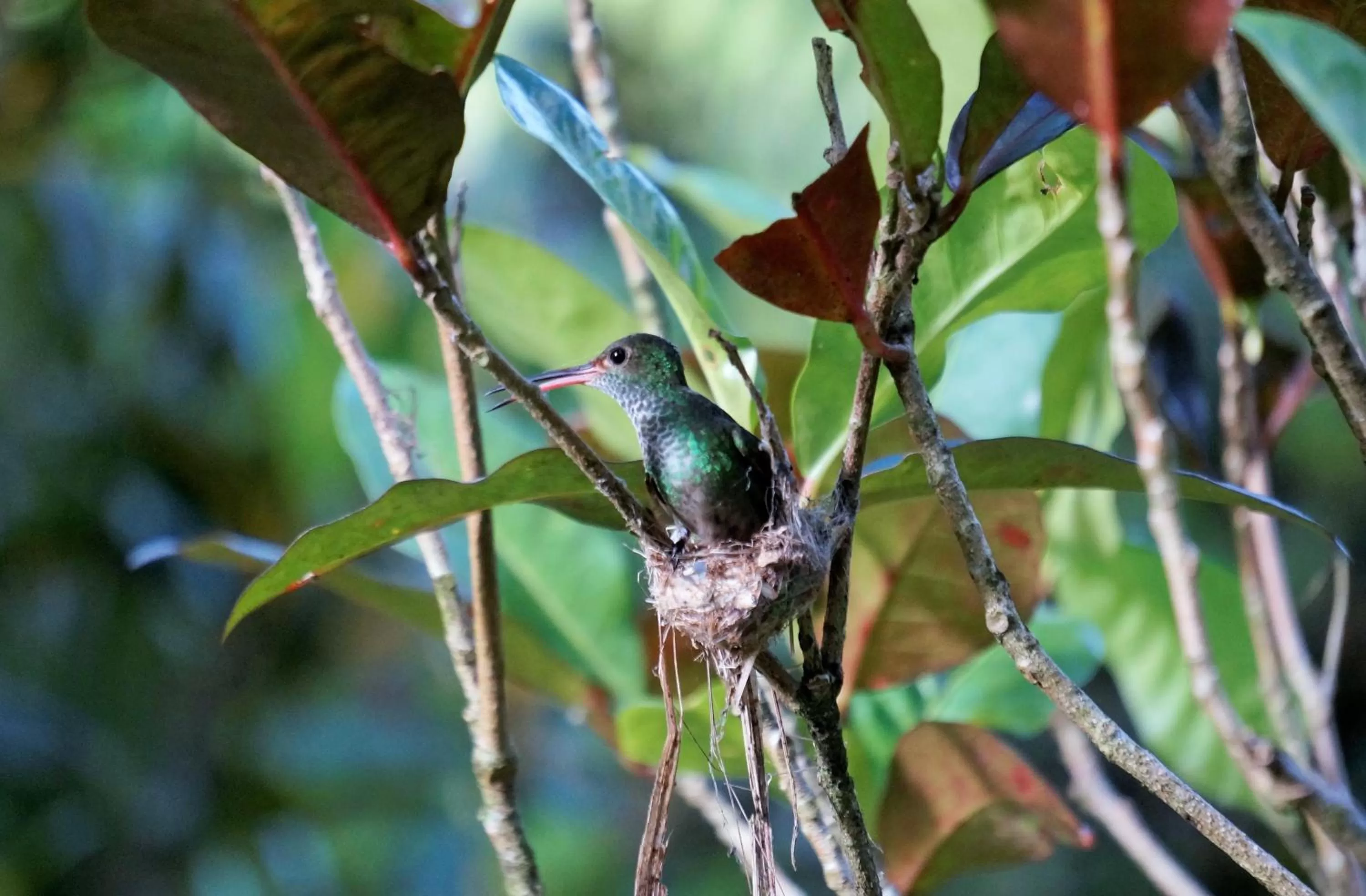 Area and facilities in Hotel Monte Real