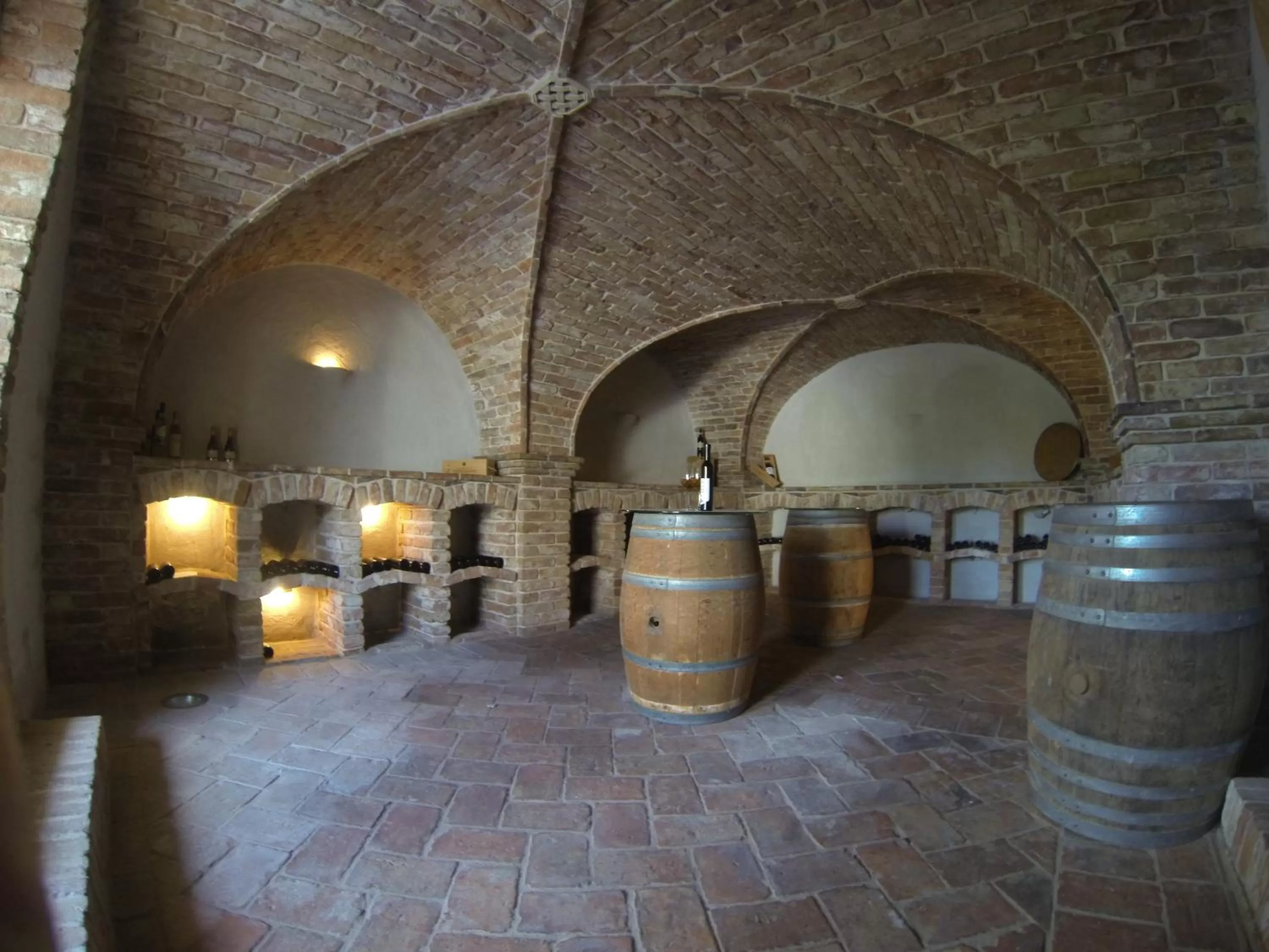 Activities in Sporthotel Podersdorf