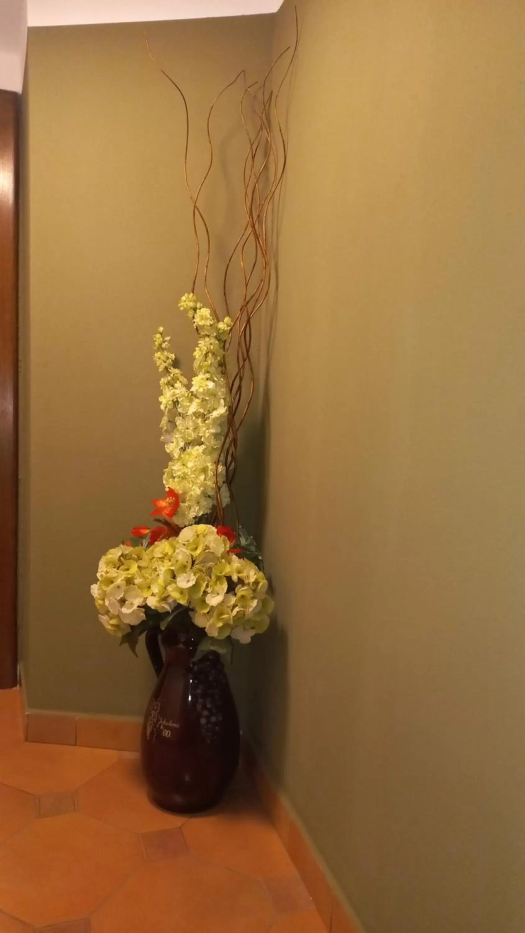 Property building in Hotel Bílá Paní