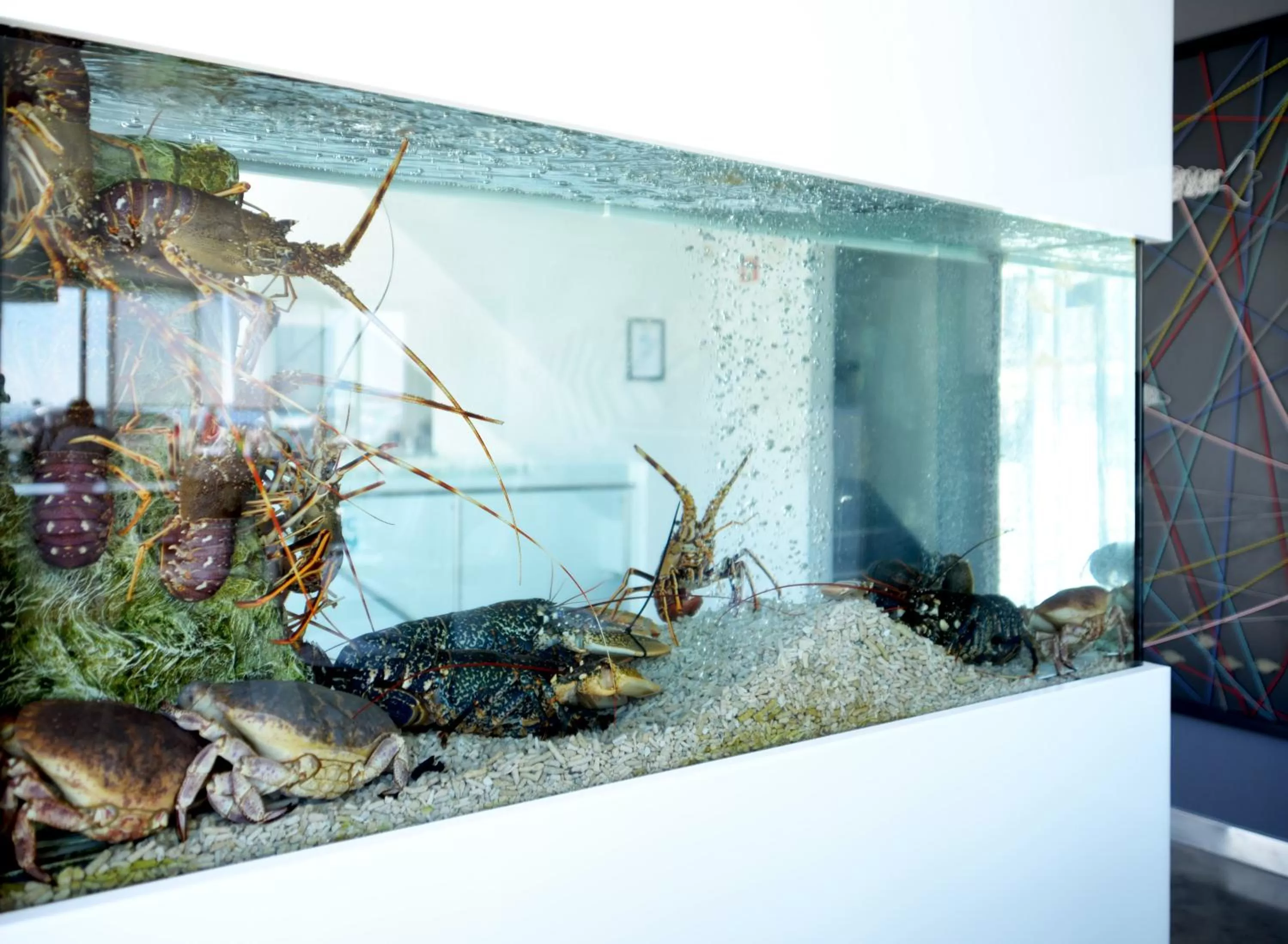 Food in Hotel Mar Bravo