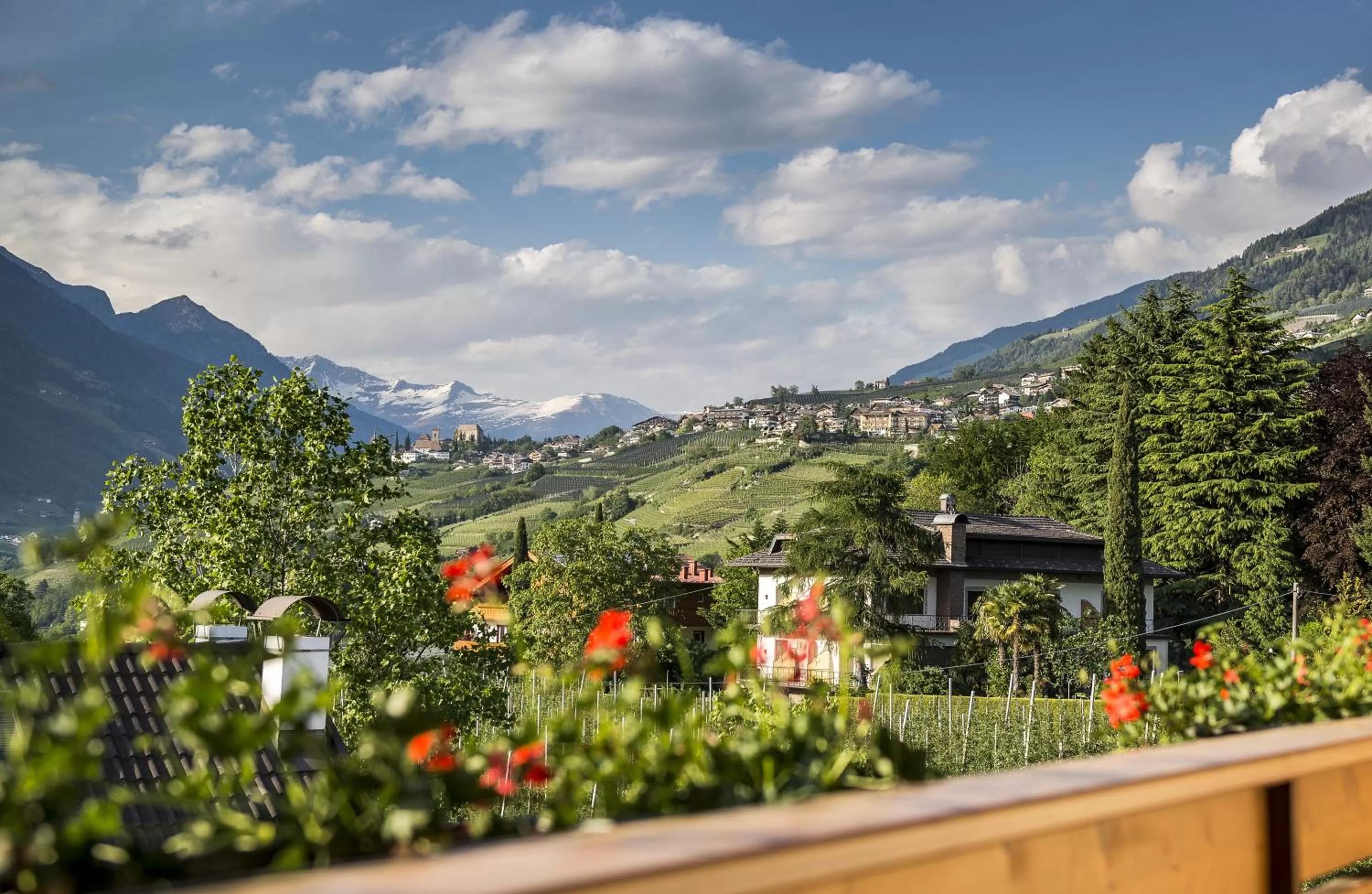 Balcony/Terrace in Hotel Sonnenburg