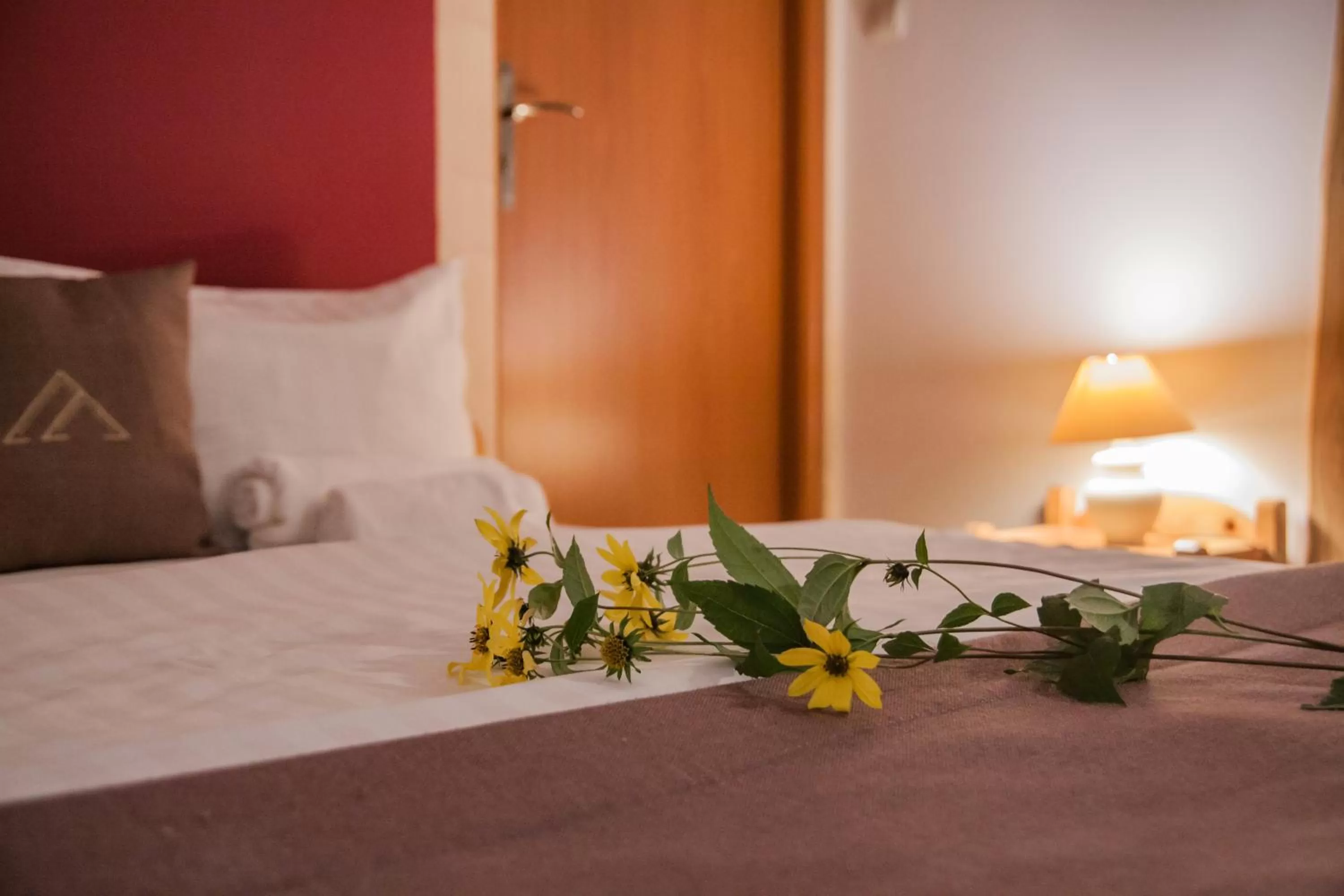 Bed in POKOJE GOŚCINNE WILCZNIK 12