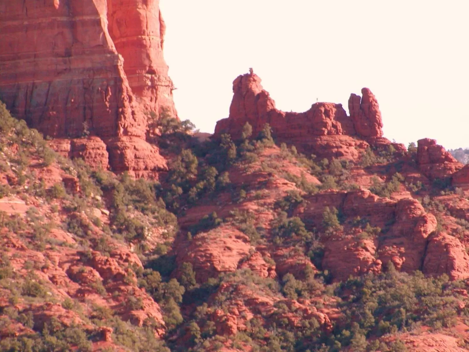 Area and facilities in Cedars Resort