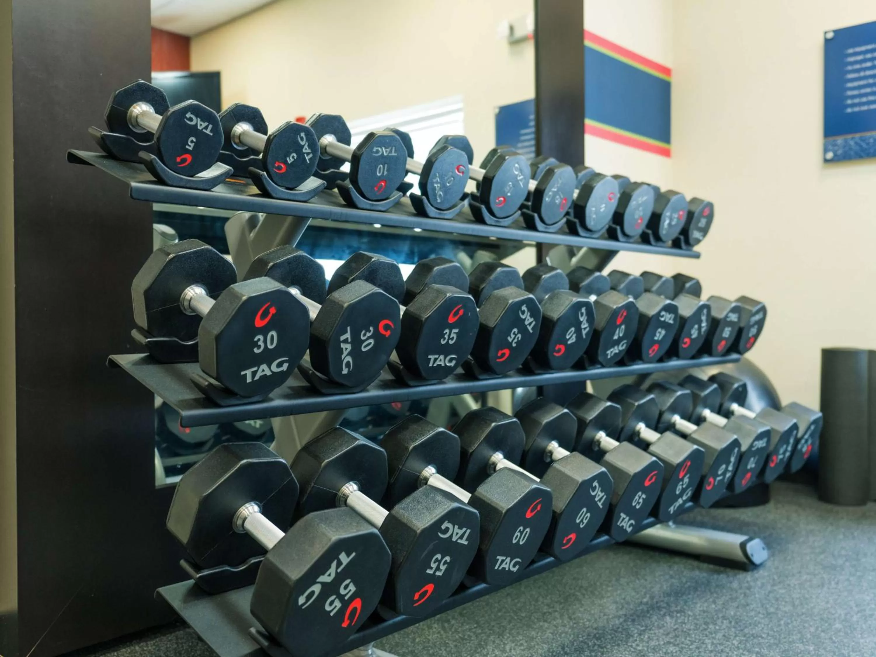 Fitness centre/facilities in Hampton Inn Greenville