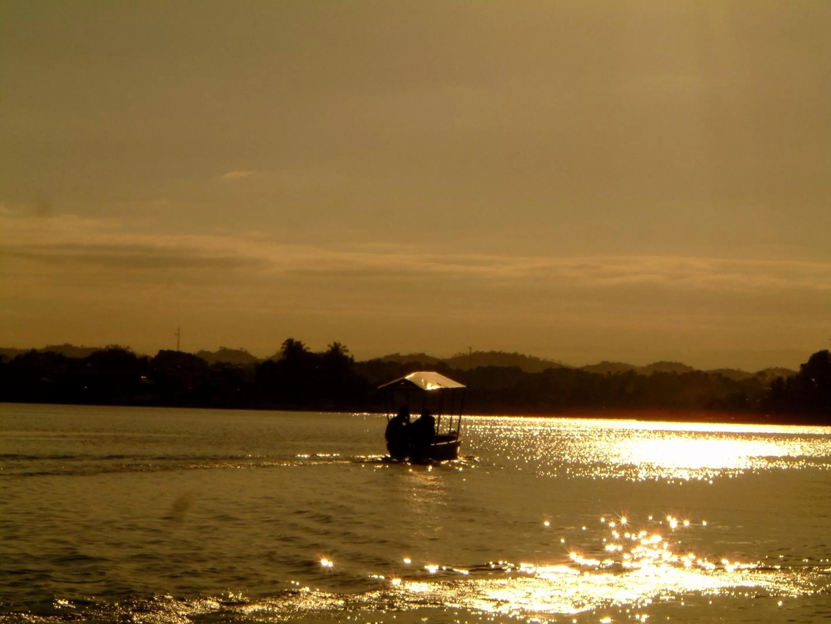 Natural landscape in Zapote Tree Inn