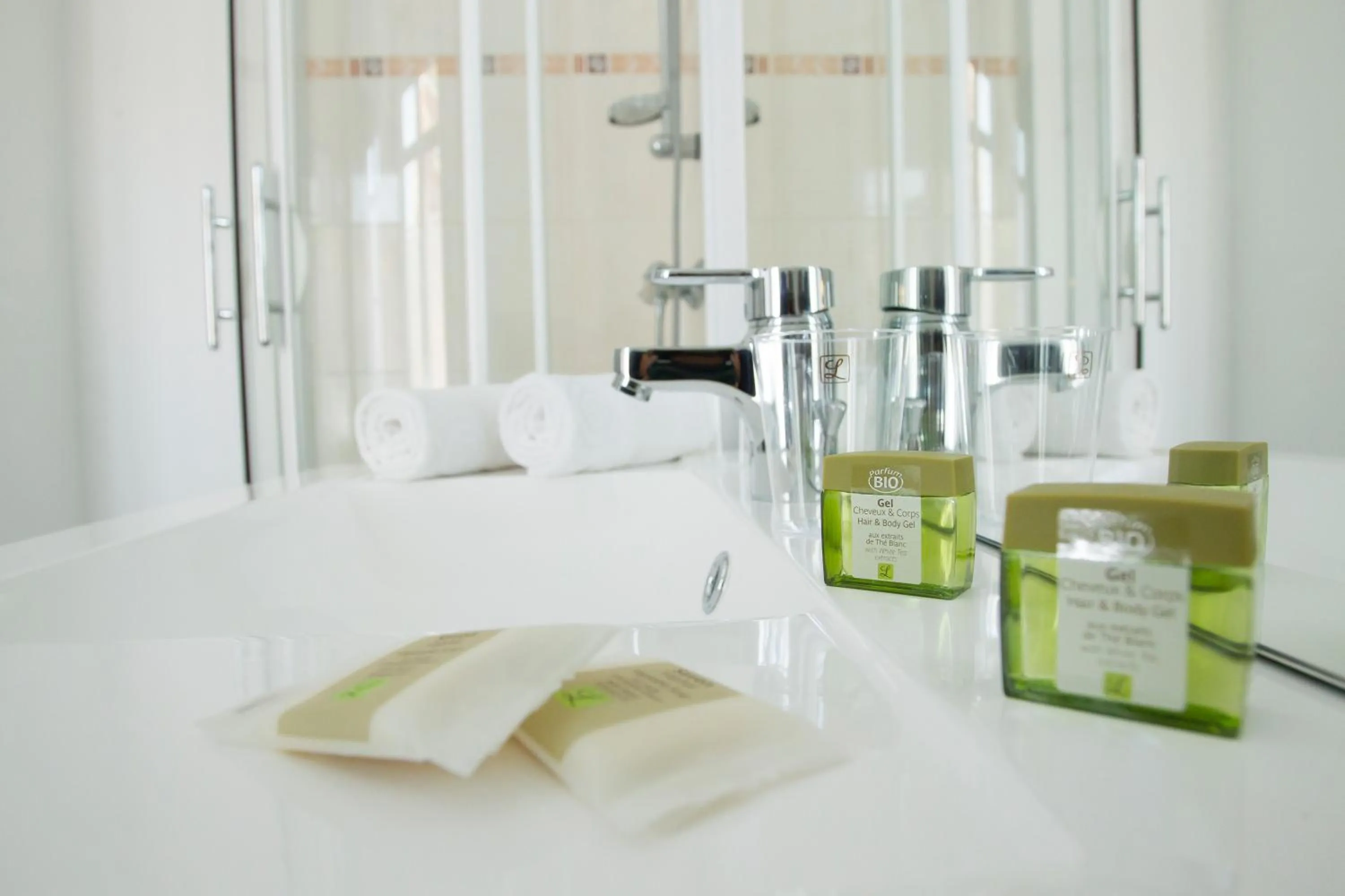 Double Room in Logis Hotel De La Basilique