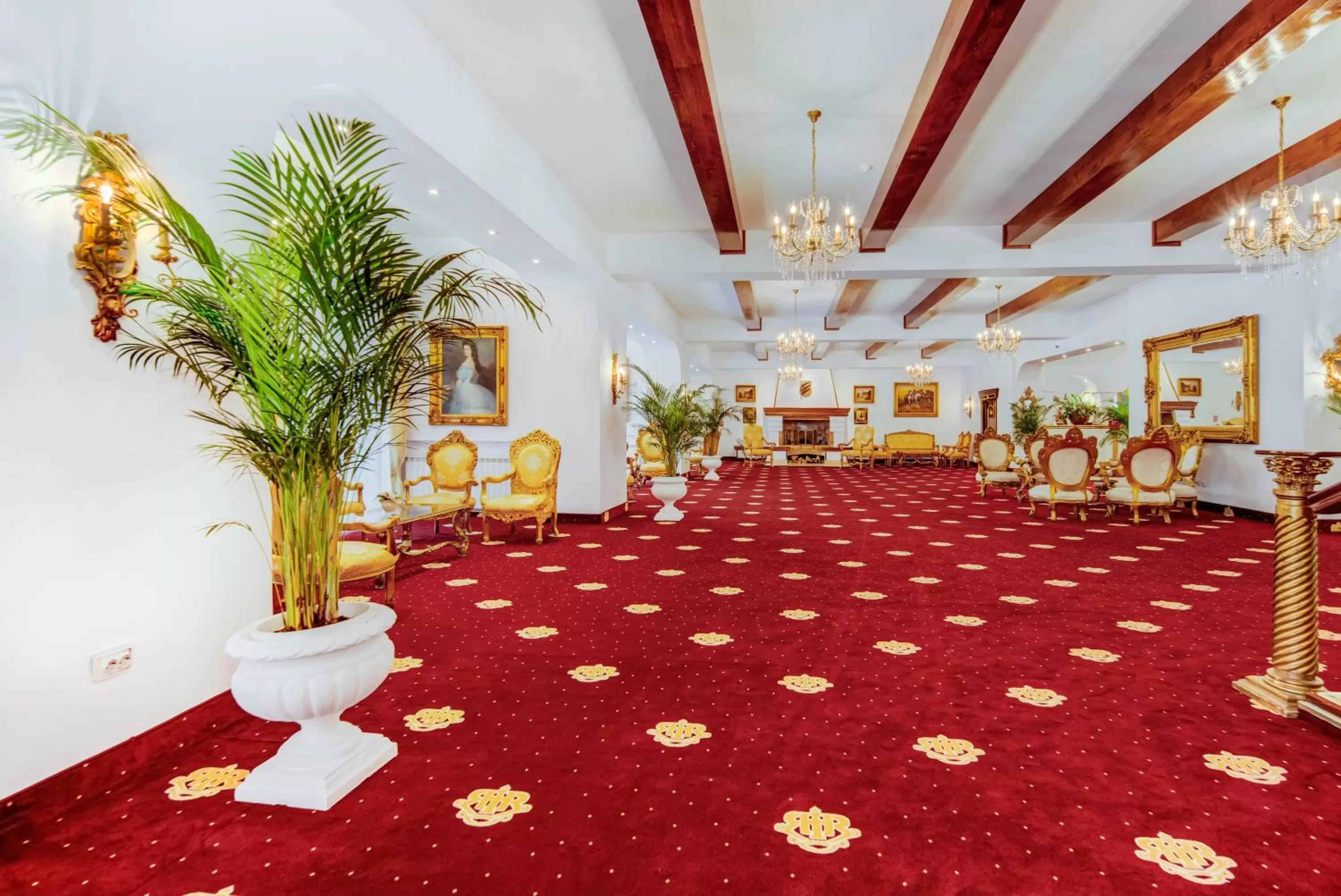 Library in Aurelius Imparatul Romanilor Hotel & SPA