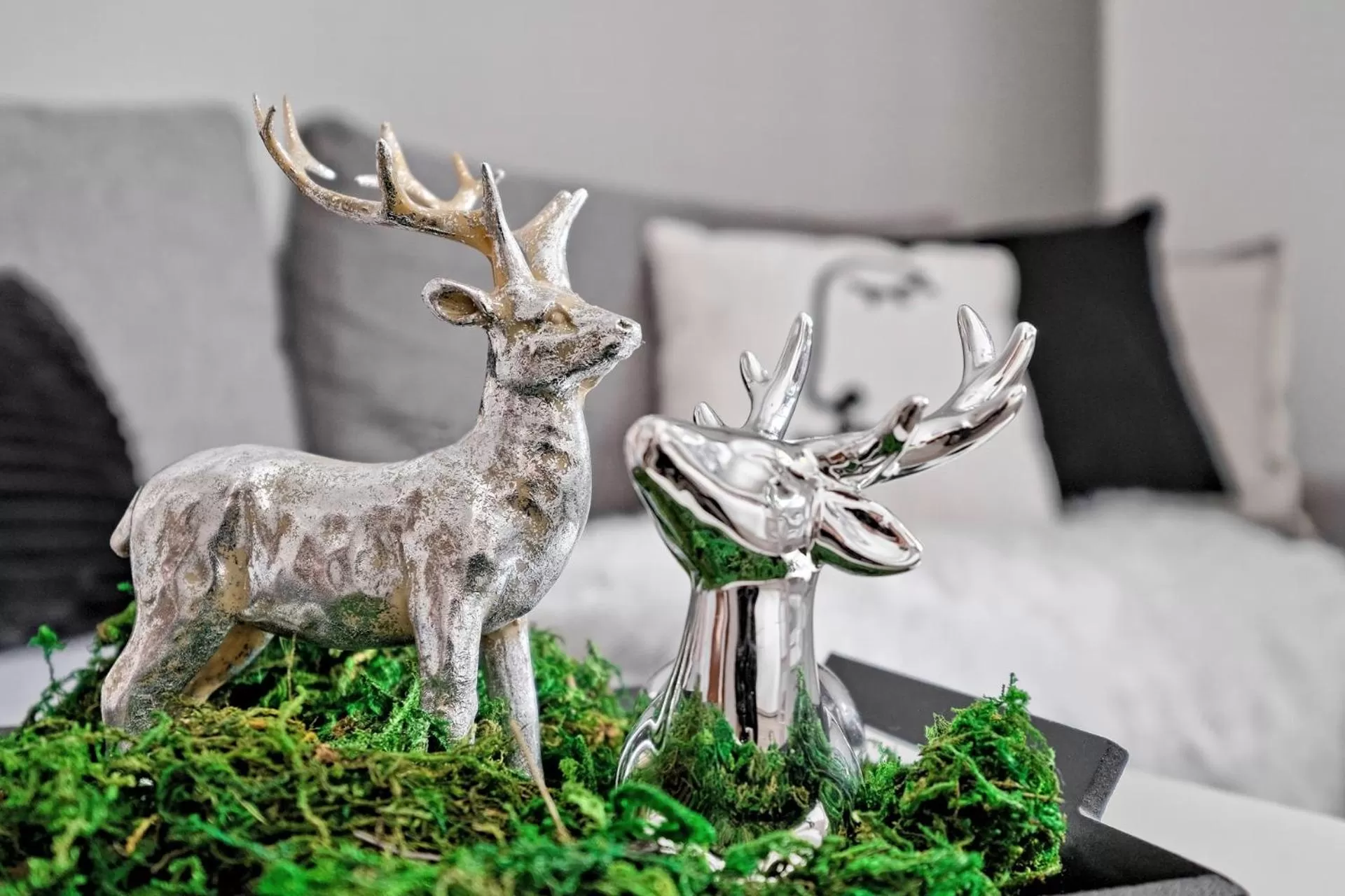 Decorative detail in Apartamenty Maciejka Odkryj Zakopane