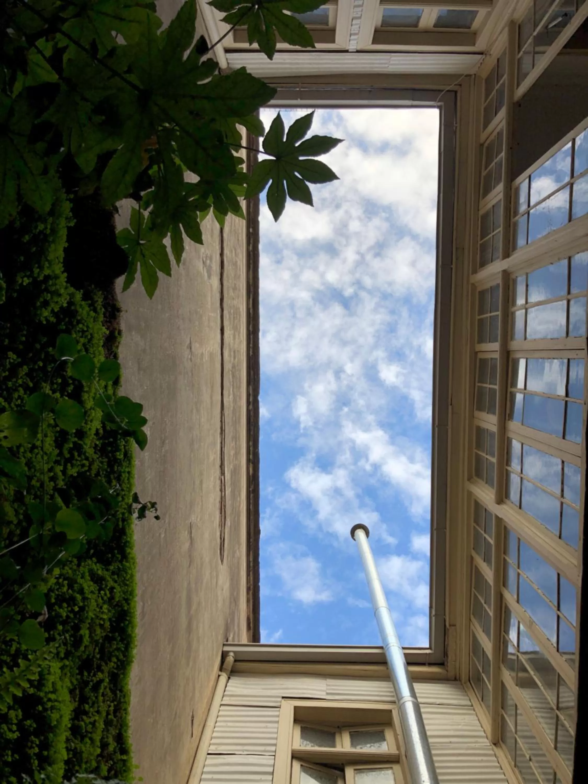 Patio in CASA LUCRECIA