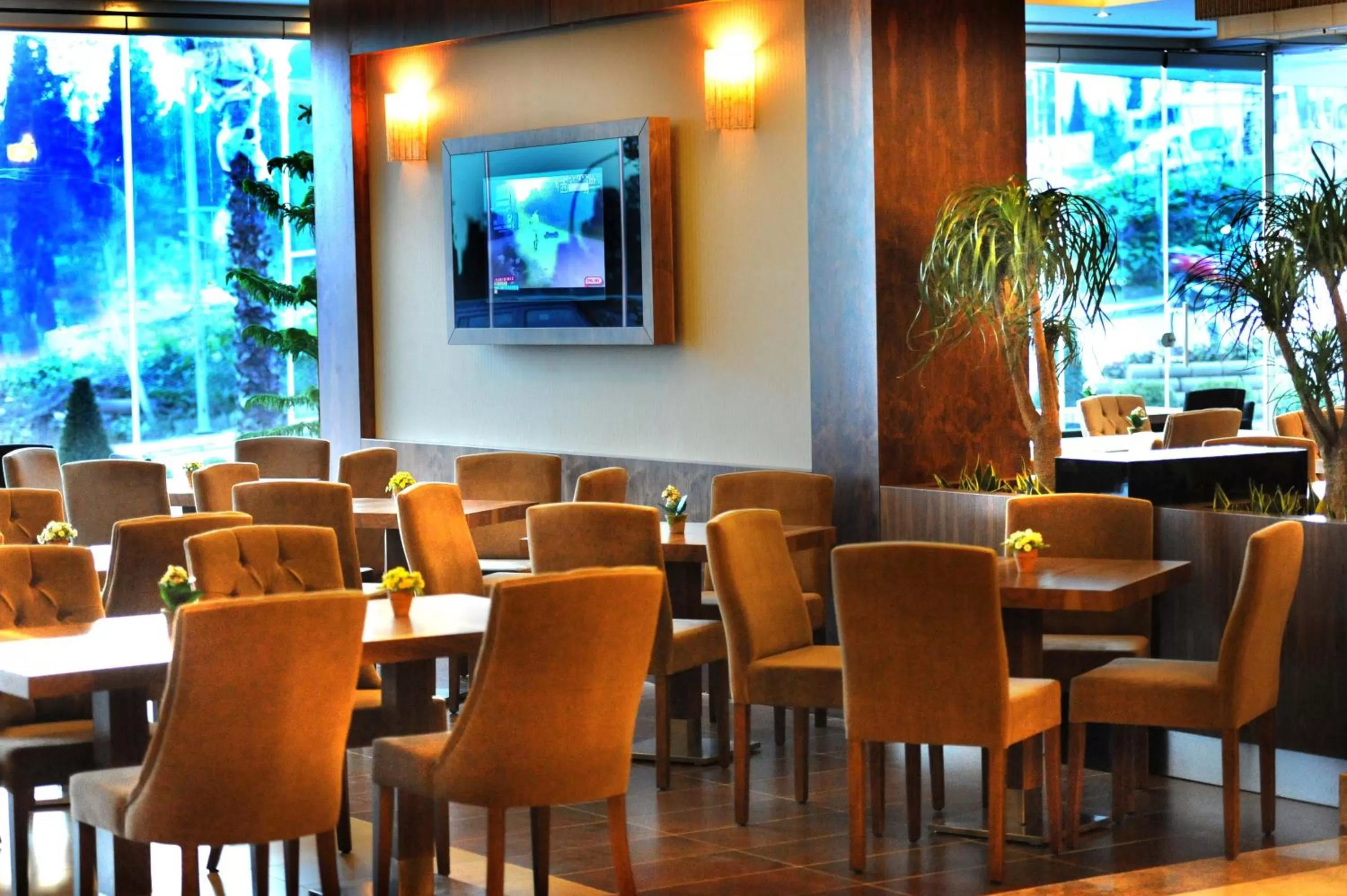 Restaurant/places to eat in Volley Hotel Istanbul