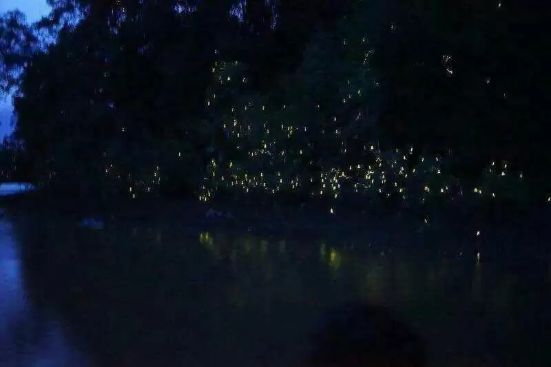 Dragon Pearl Beach Resort