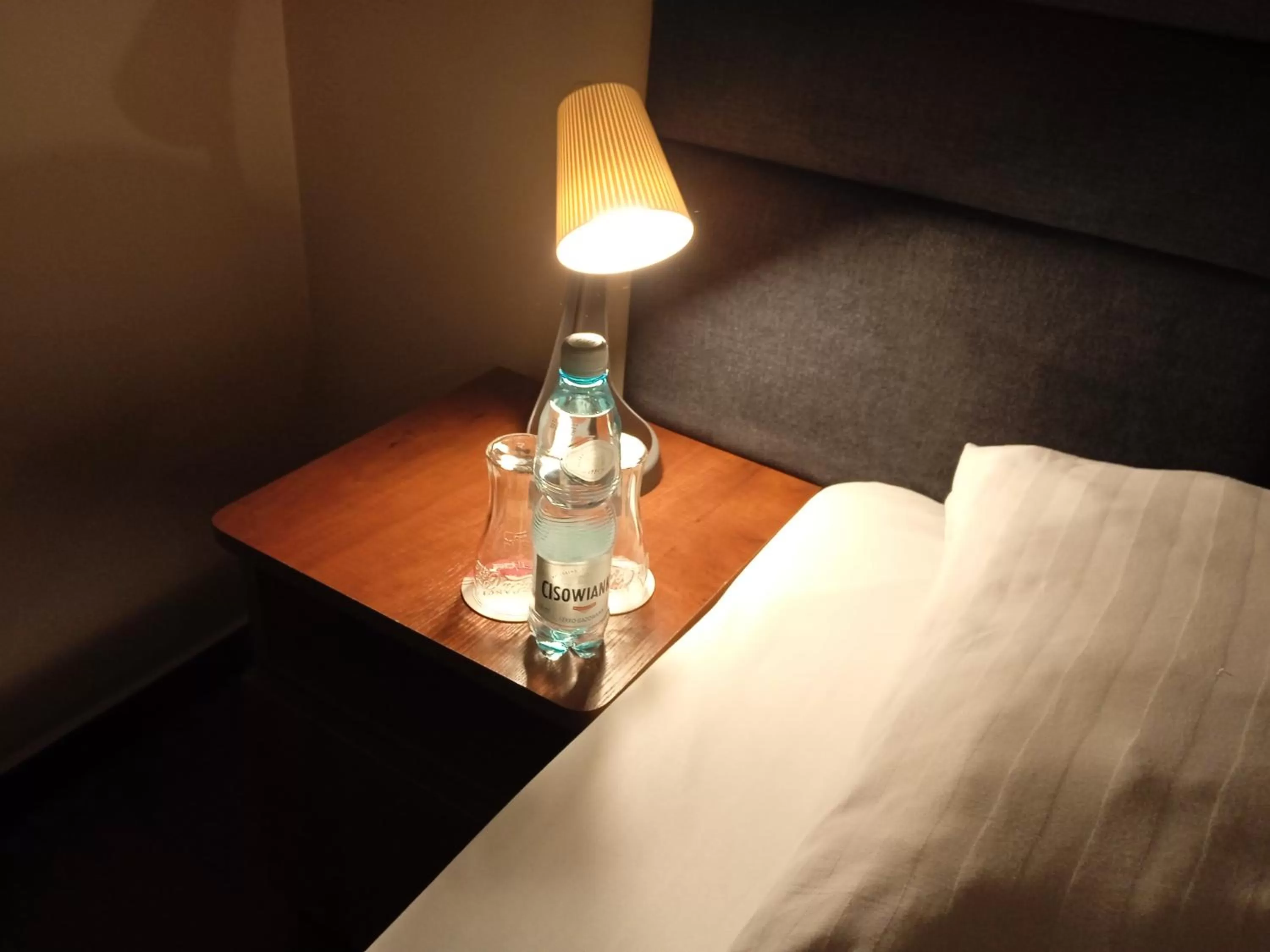 Standard Double Room in Centrum Konferencyjne Sułtan