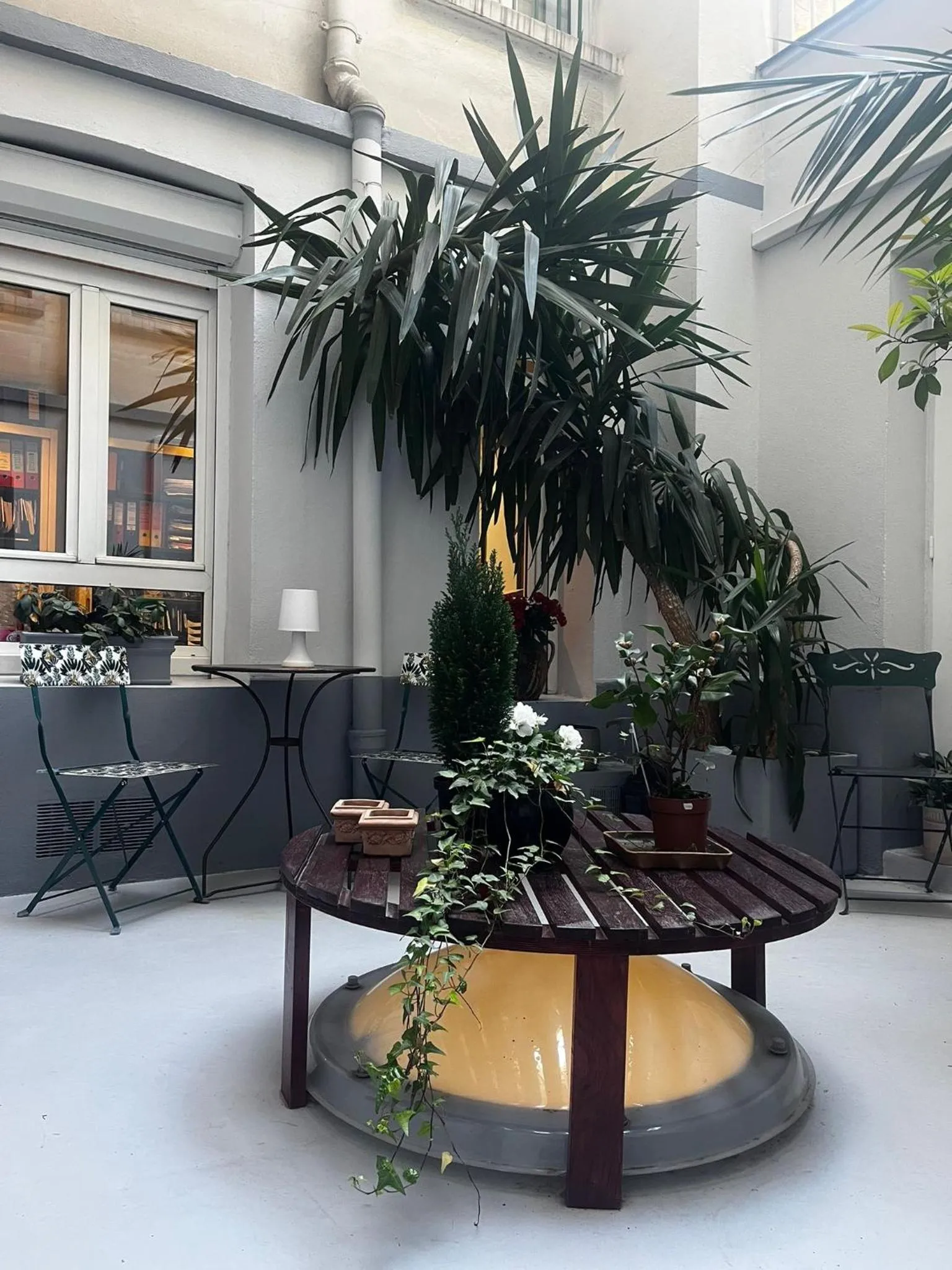 Garden view in HOTEL ALISON