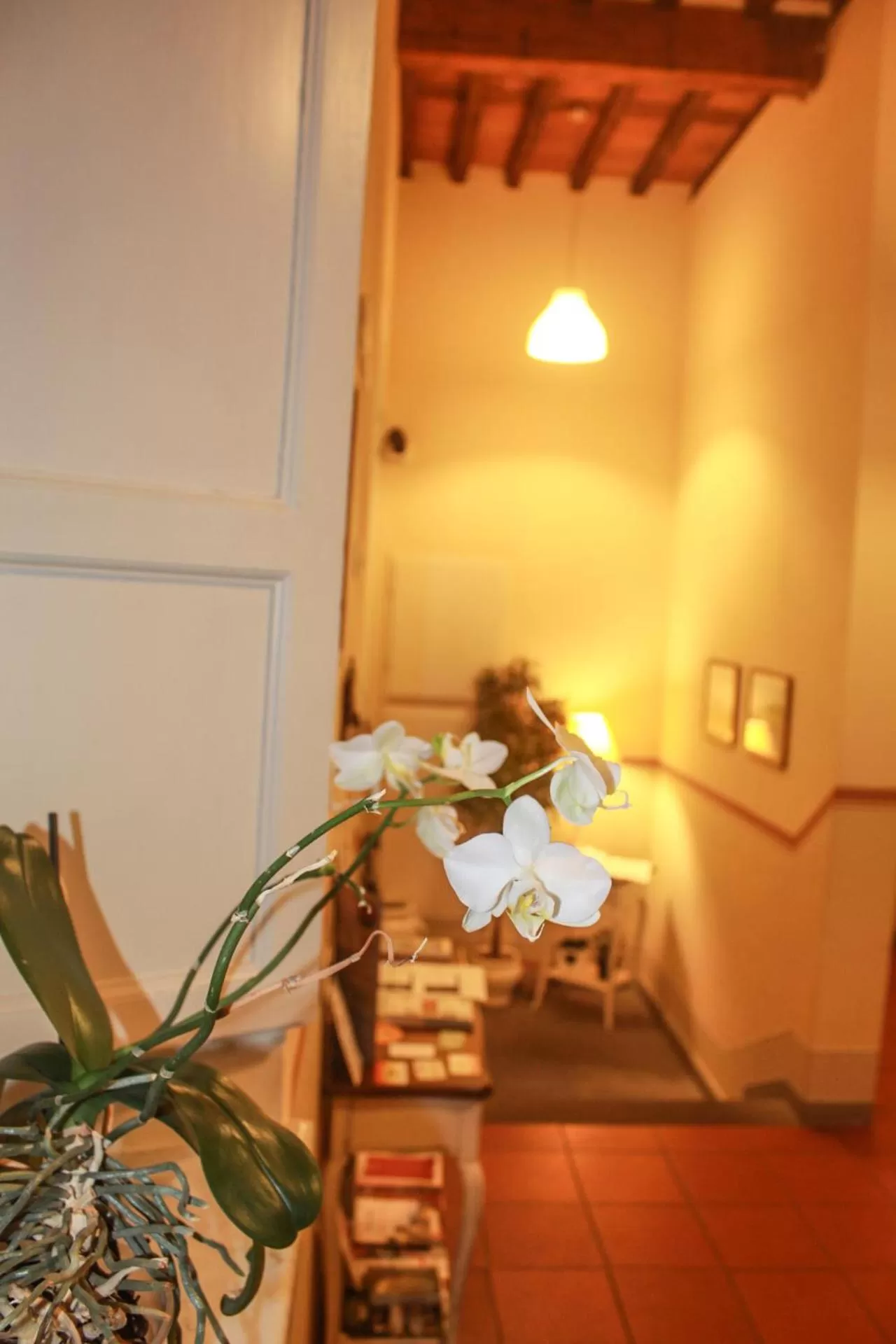 Lobby or reception in B&B Il Seminario