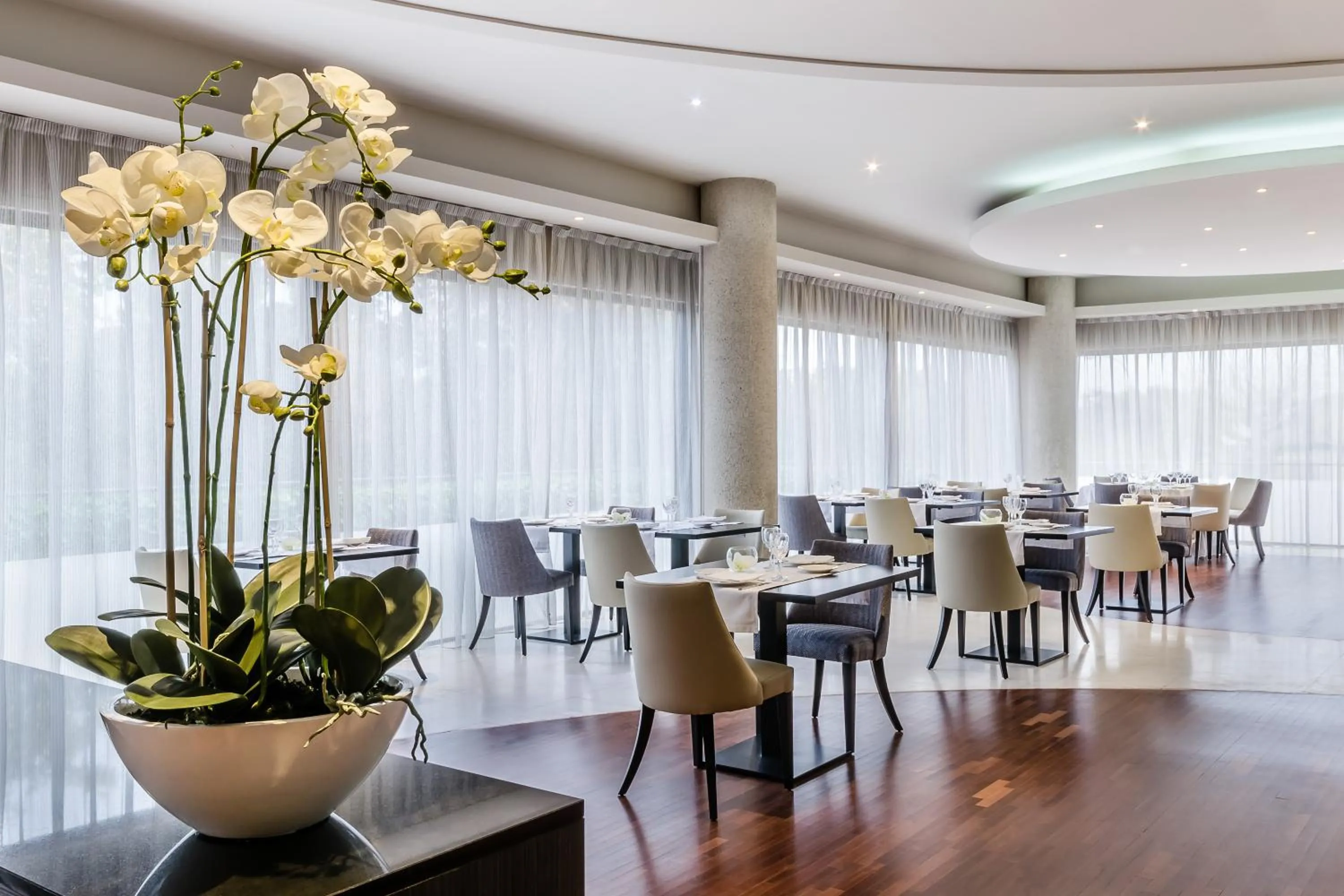 Restaurant/places to eat in Exe Campus