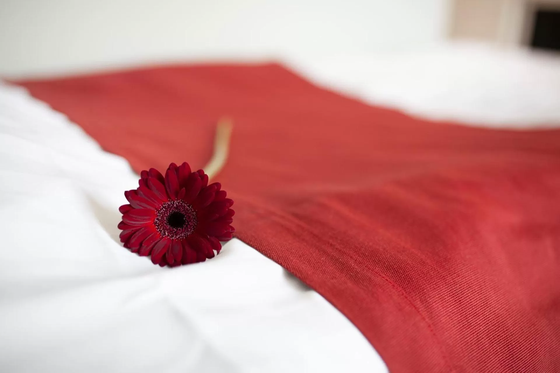 Bed in Strandnäs Hotell