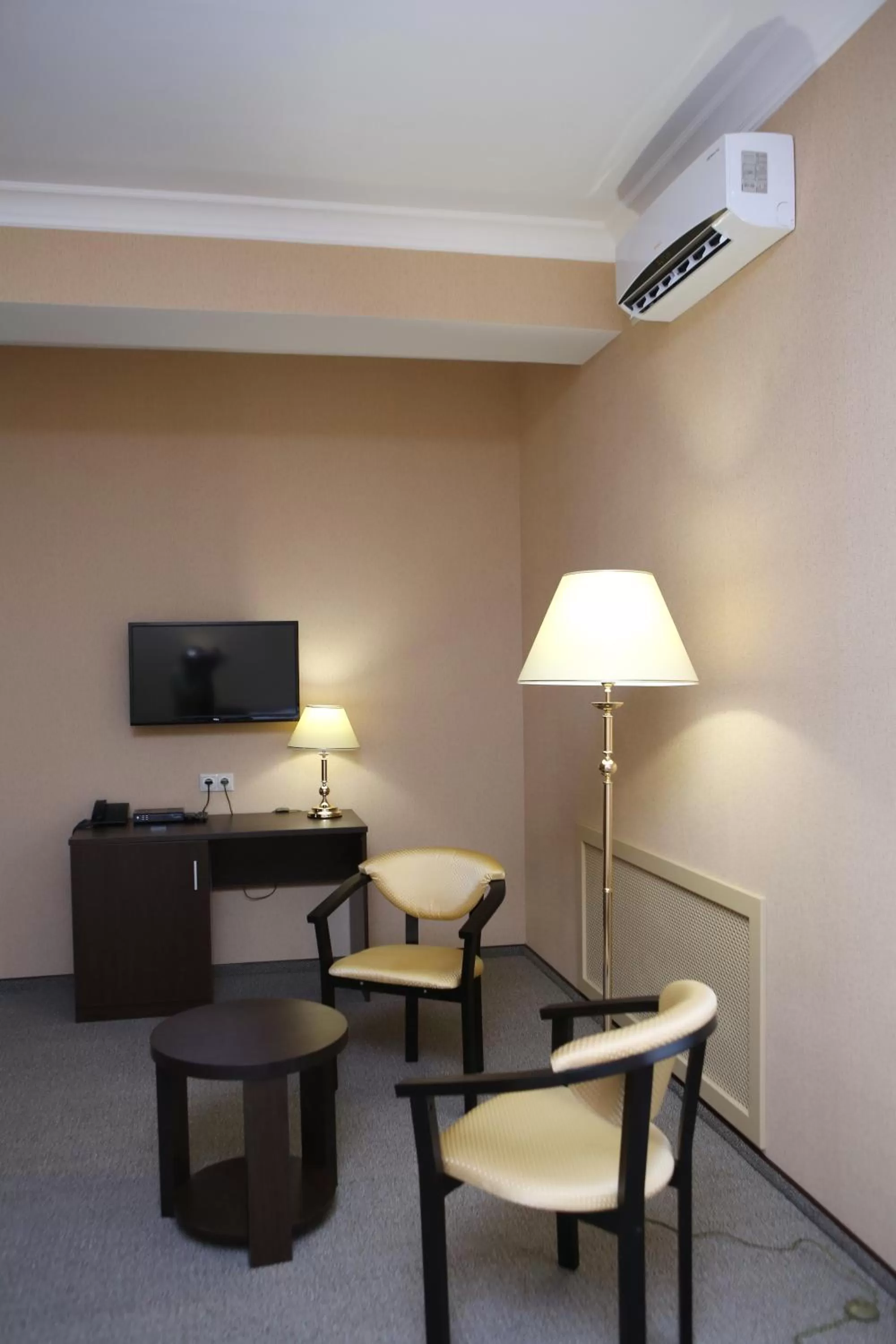 Seating area in Hotel Aner