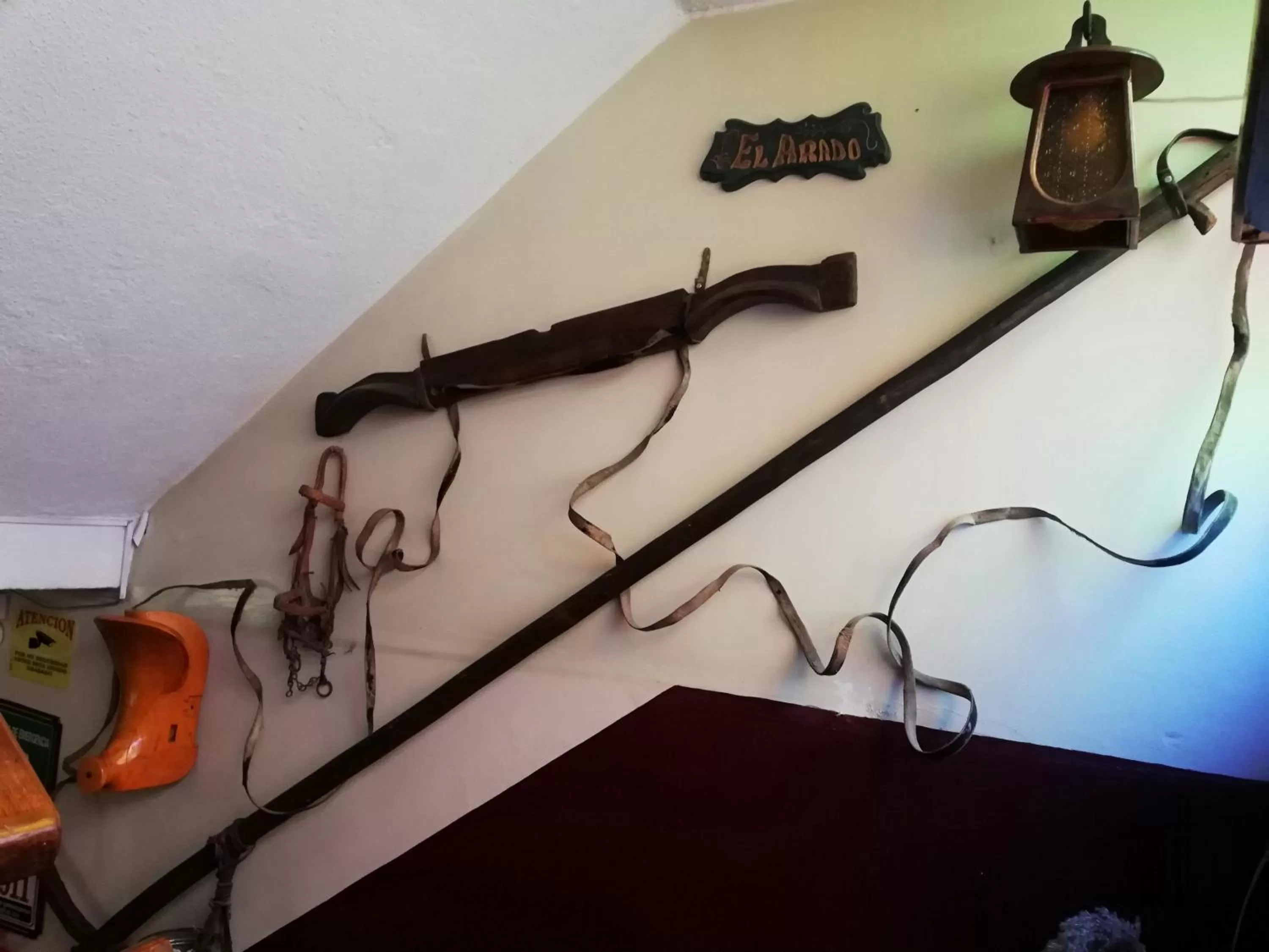 Lobby or reception in Flying Donkey