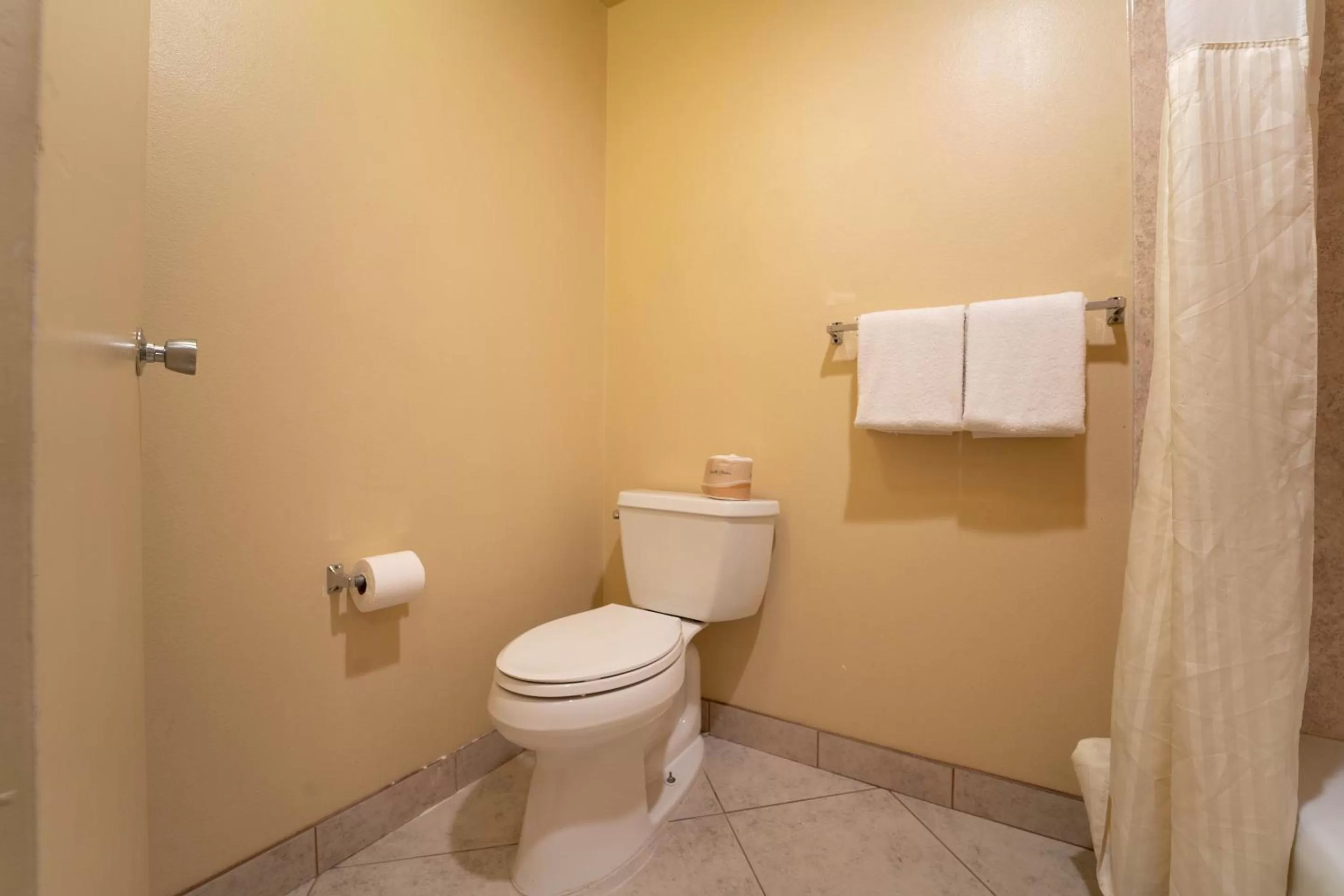 Bathroom in Royal Plaza Inn