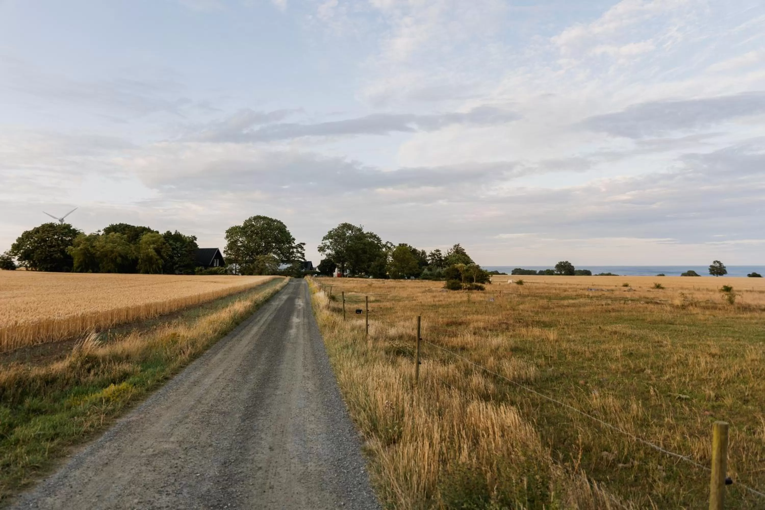 Activities in Sköllengården