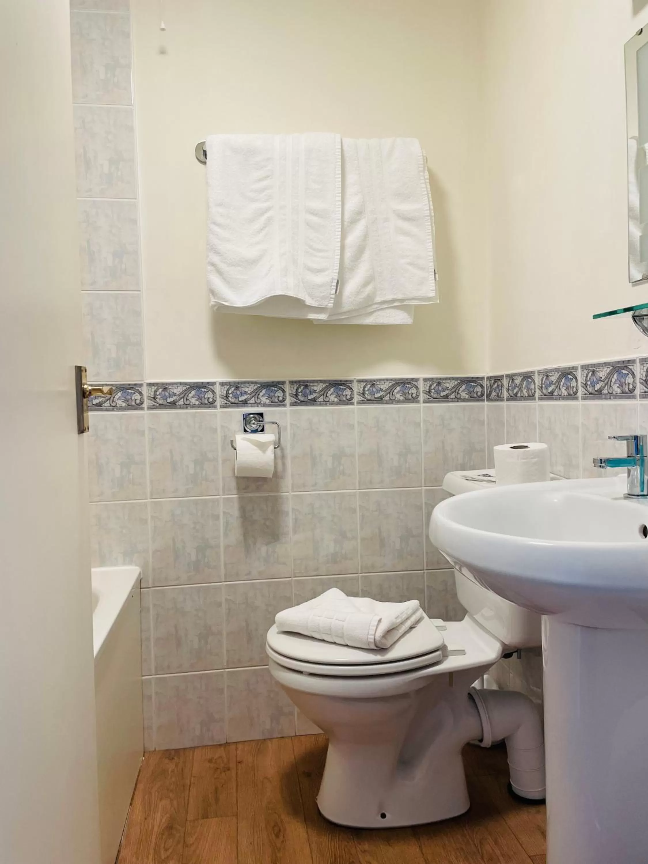 Toilet in Molesworth Arms