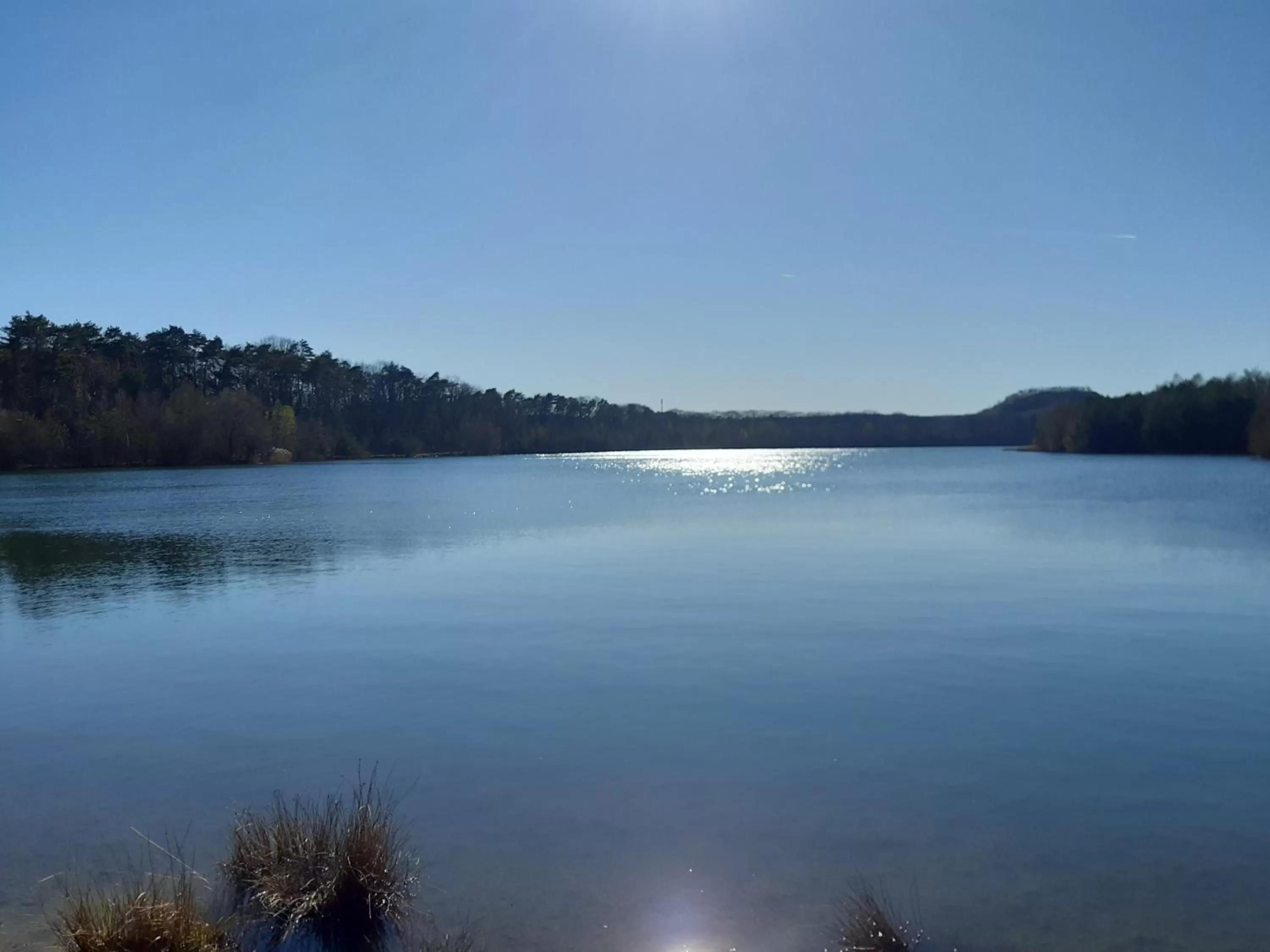 Natural landscape in B&B Orgel Thuis