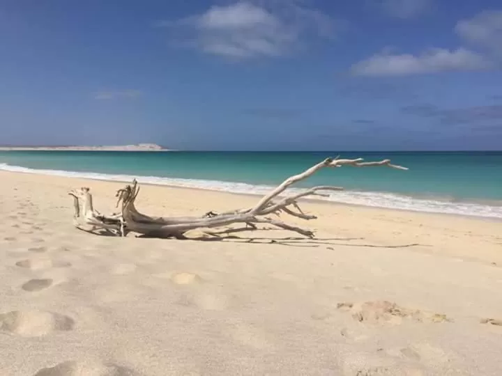 Natural landscape, Beach in B&B Sereia Azul Boa Vista