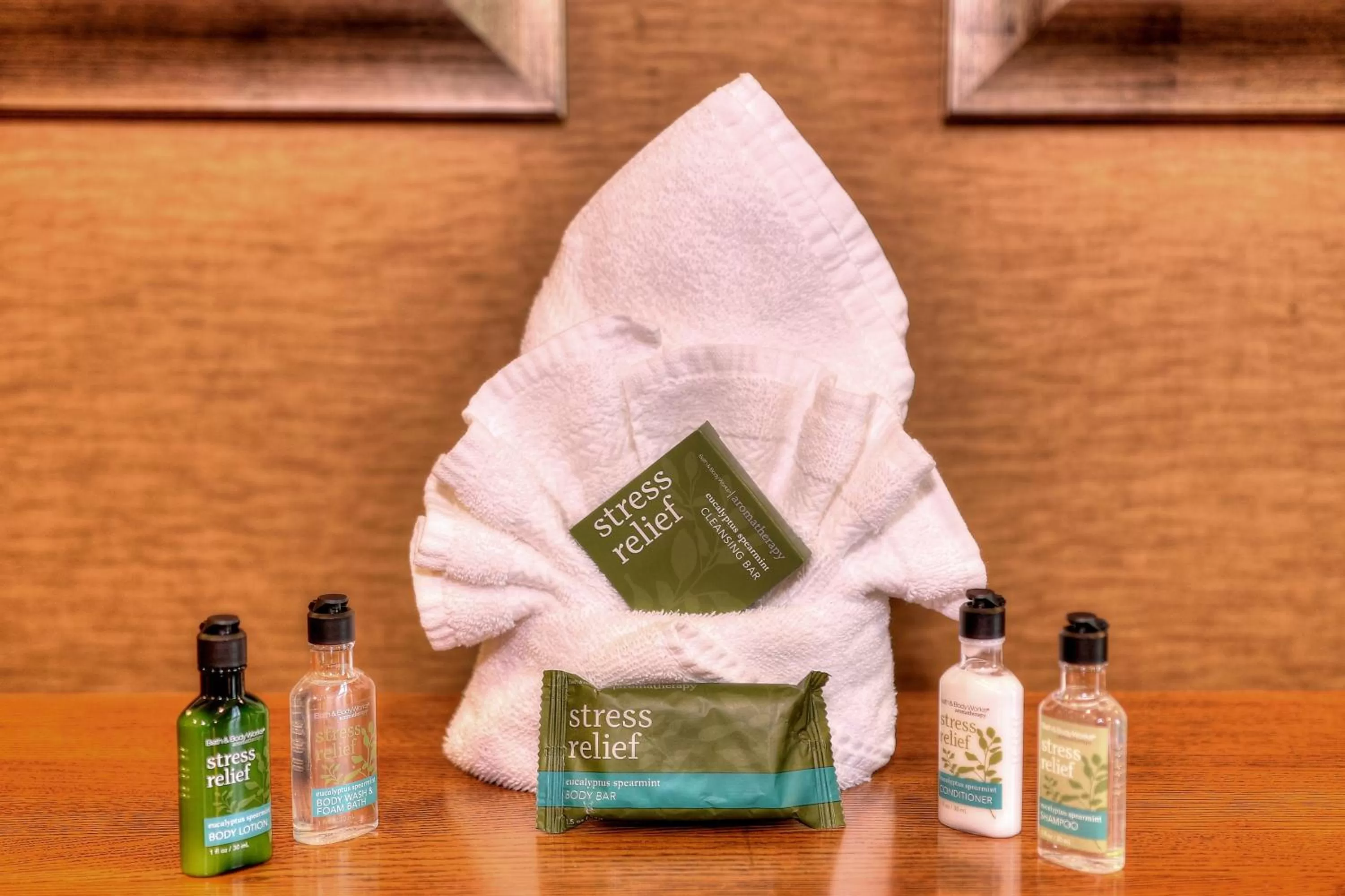 towels in The Ramsey Hotel and Convention Center