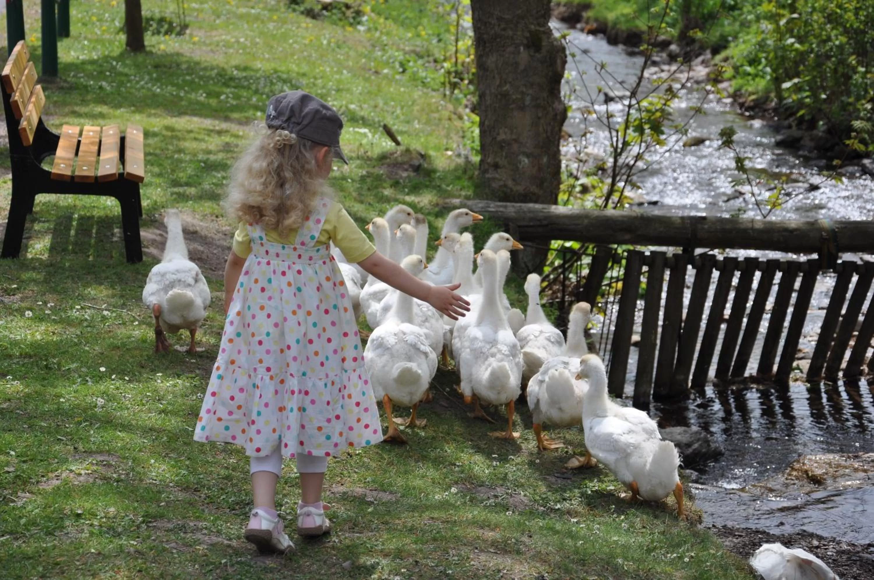 Children play ground in Hotel Waldmühle