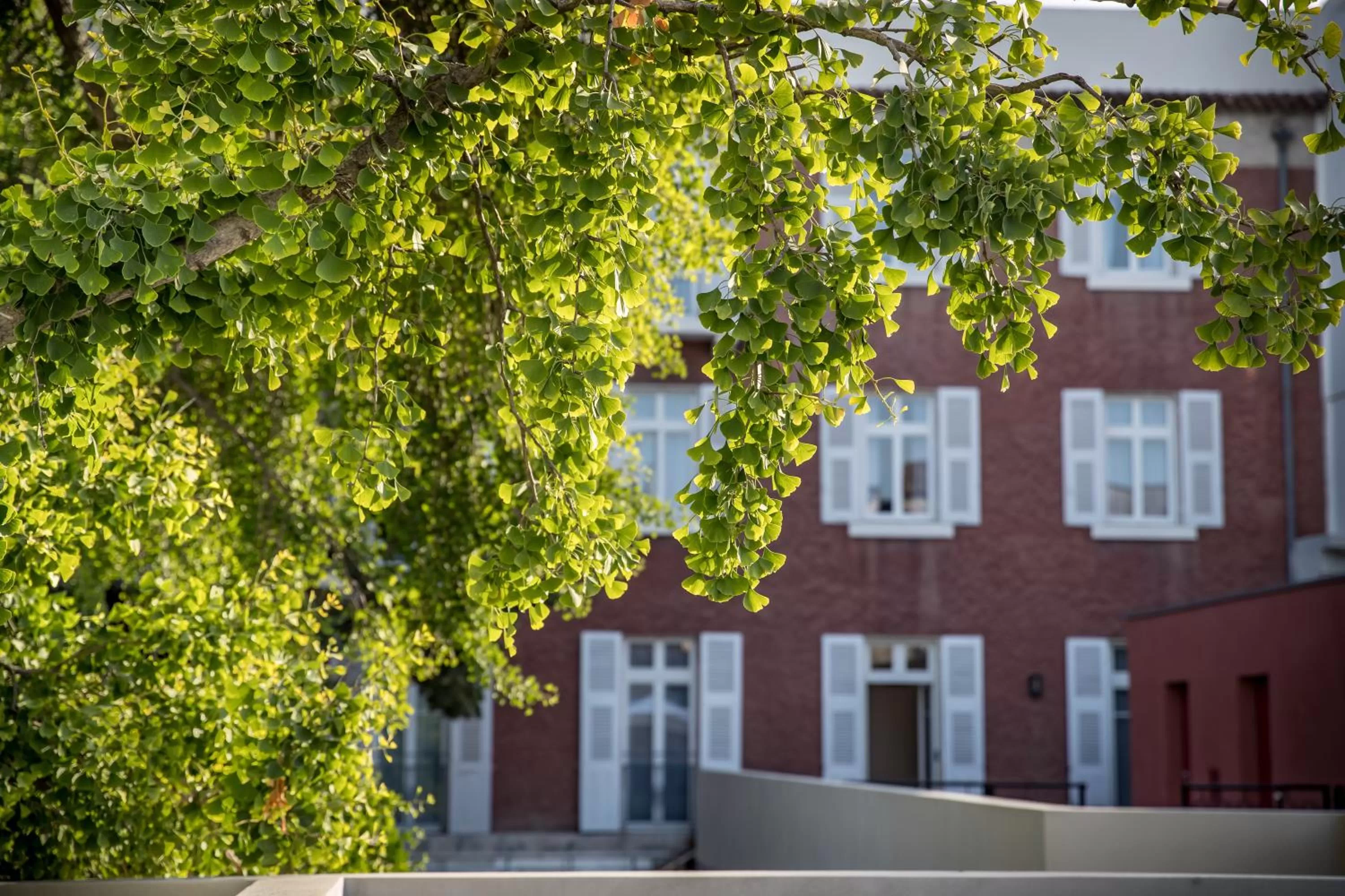 Garden view in Maison Albar Hotels L’Imperator