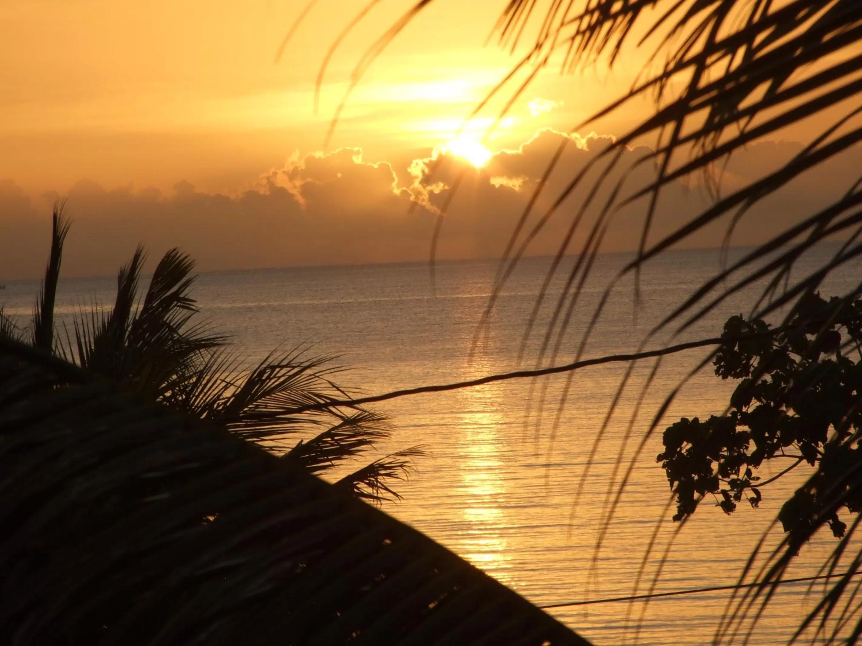 Sea view in BlueBelize B&B