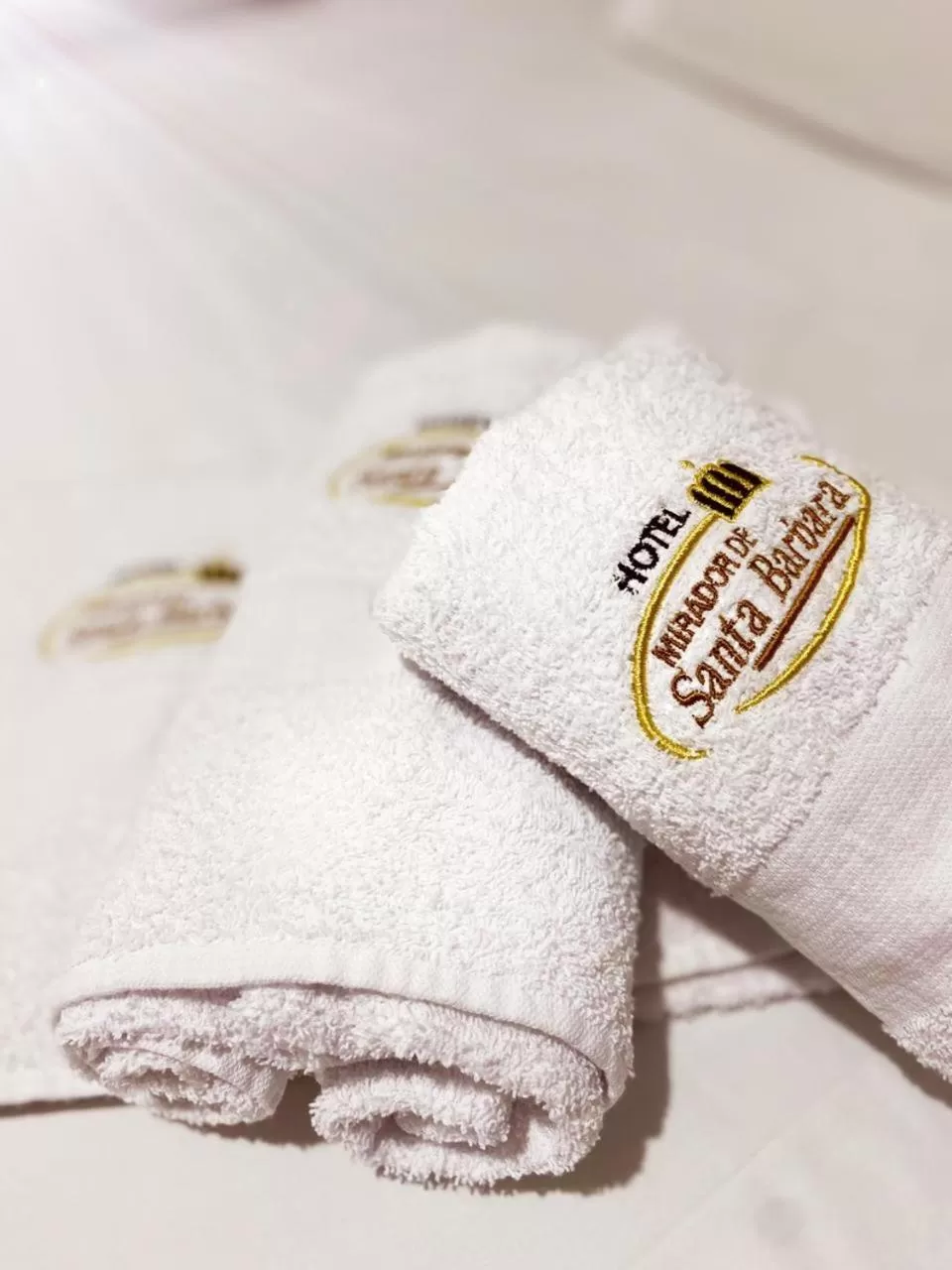 Property logo or sign in Hotel Mirador de Santa Bárbara