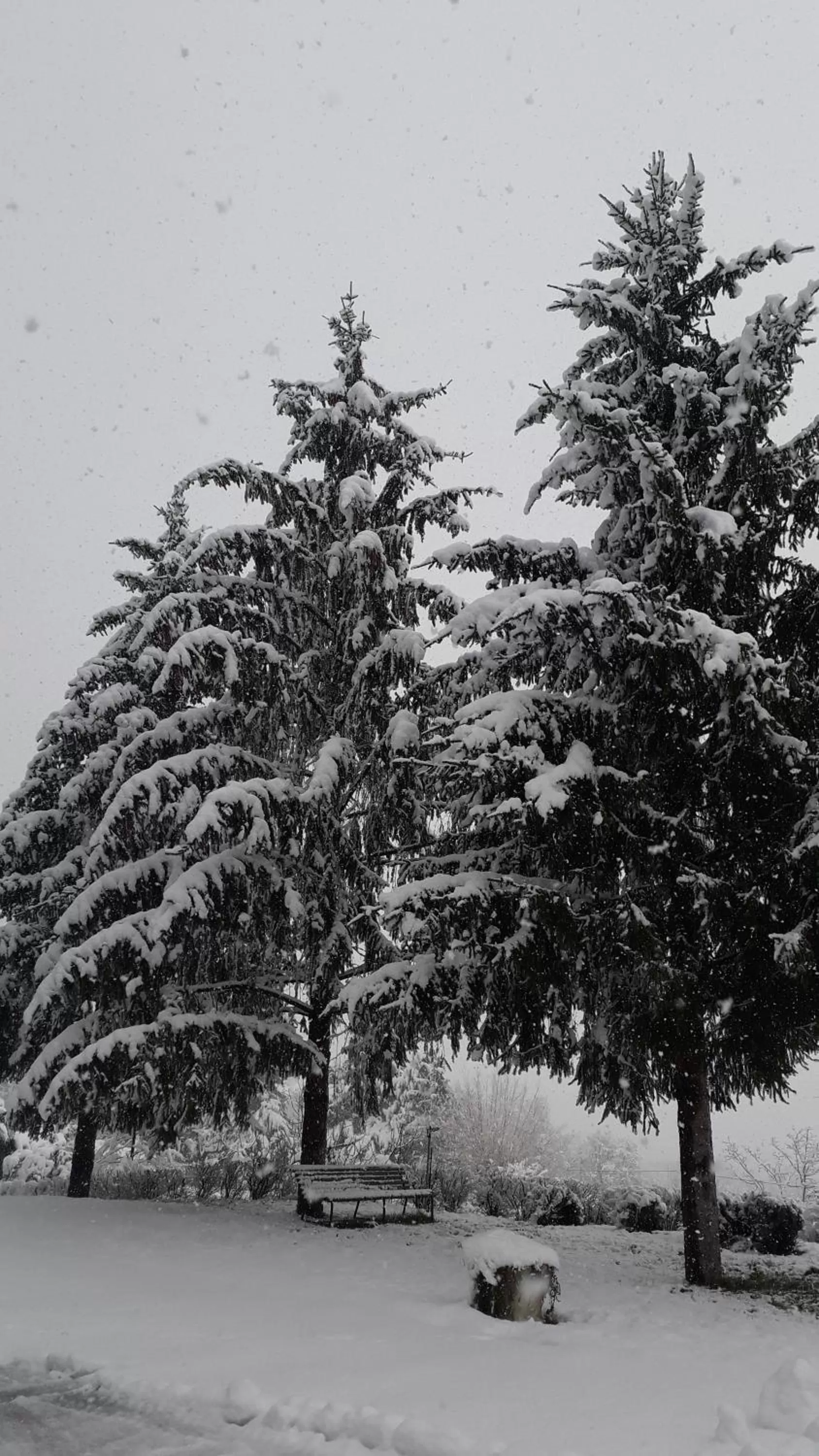 Masseria boutique b&b