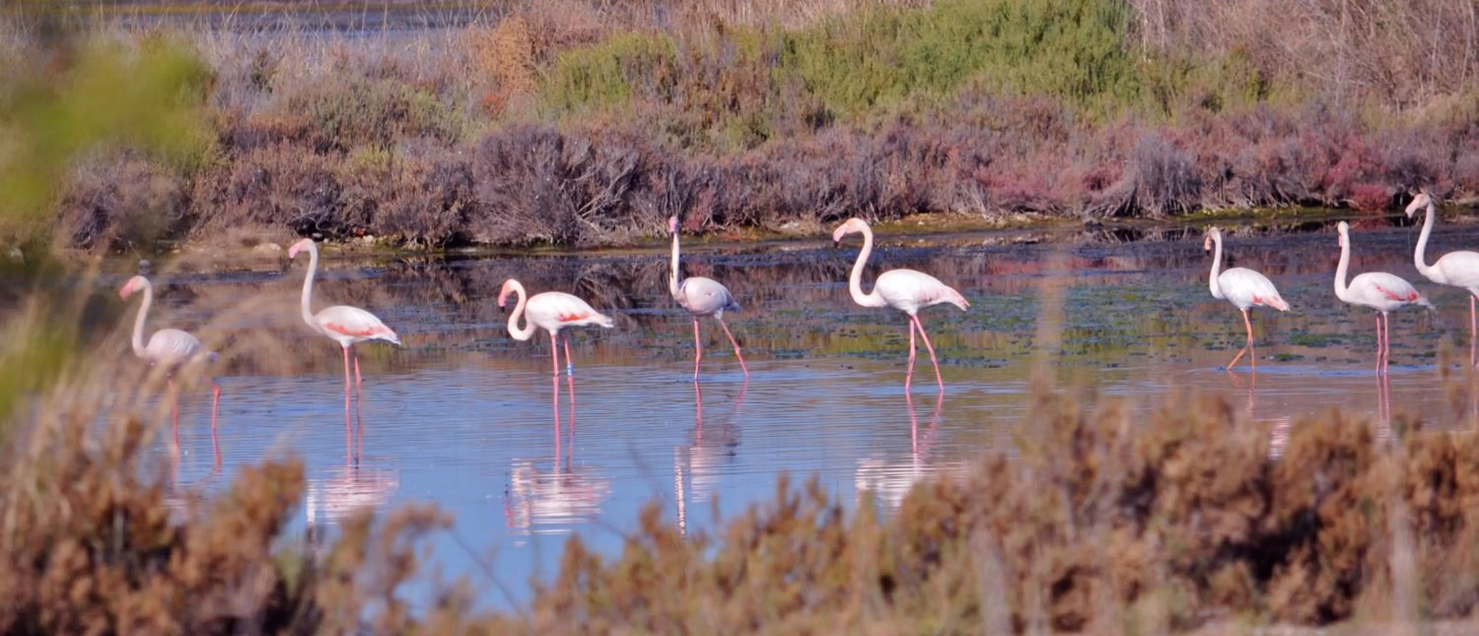 Nearby landmark in Hôtel Le Méditerranée