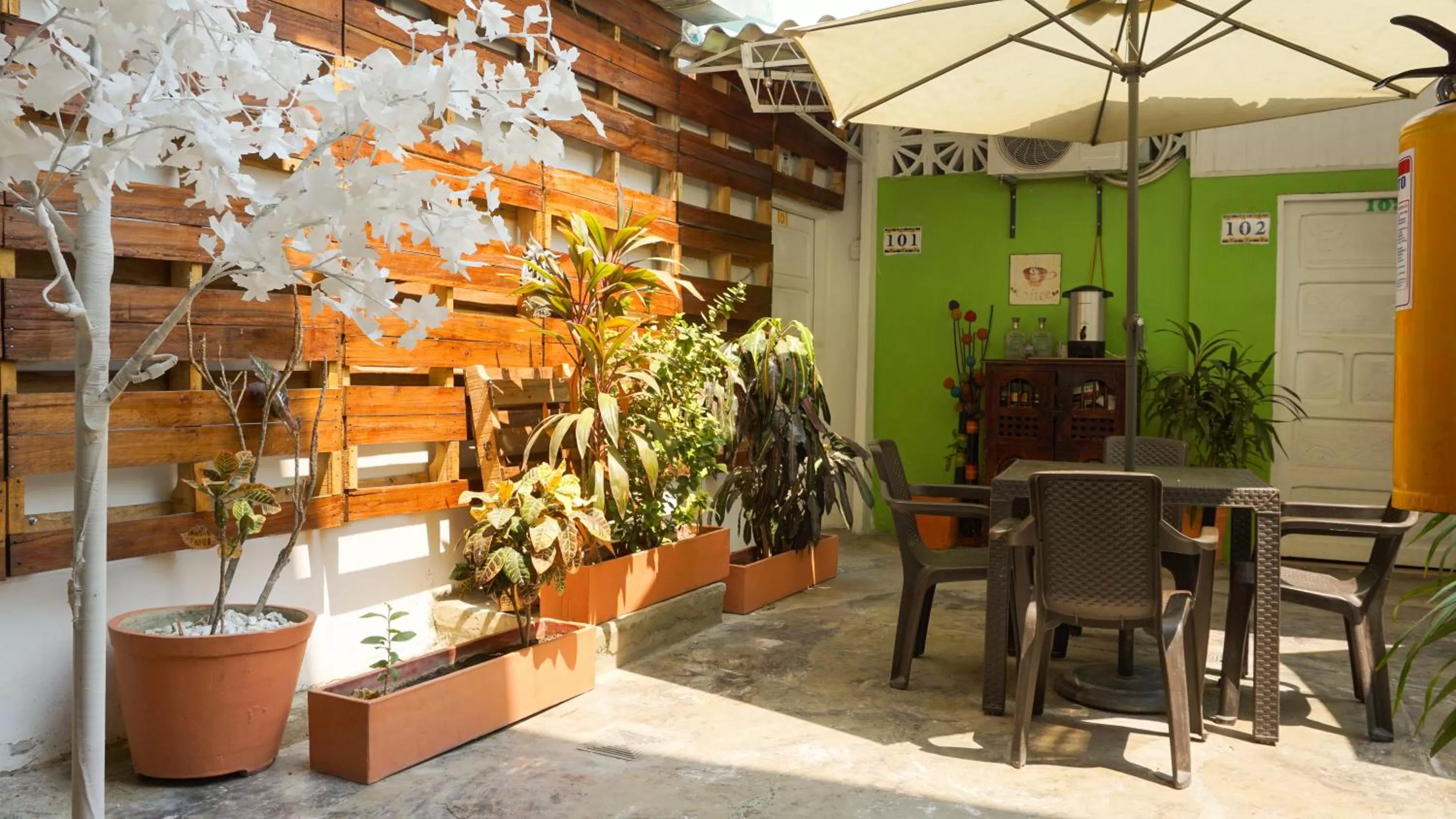 Day in Hostal Paraiso Tayrona