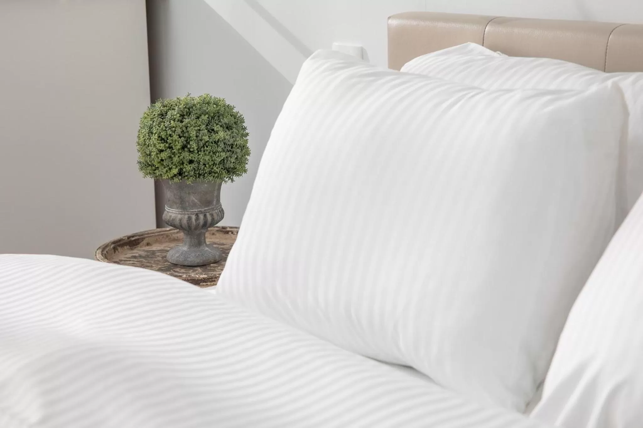 Bed in ALBERT RESIDENCE Brasov with complimentary parking and 10 percent Food and Drinks