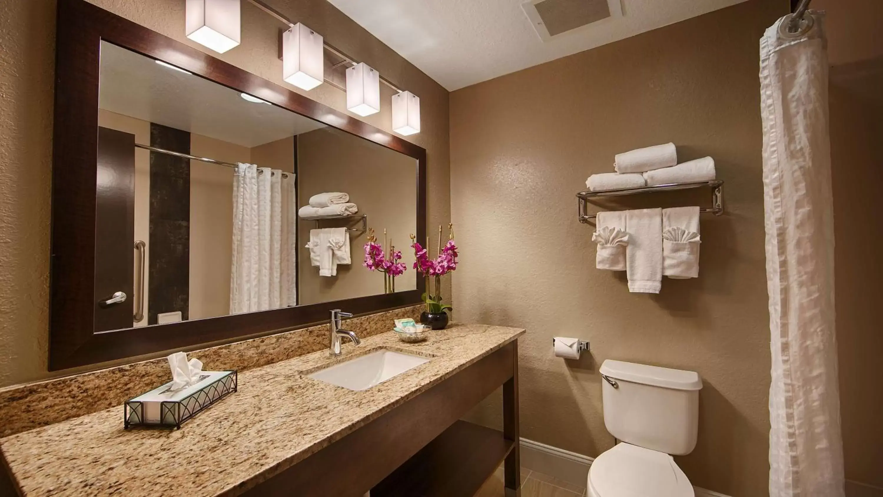 King Suite in Best Western Airport Inn & Suites King Suite in Best Western Airport Inn & Suites