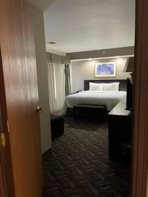 King Executive Suite - Non-Smoking in Wyndham Garden Madison Fitchburg King Executive Suite - Non-Smoking in Wyndham Garden Madison Fitchburg