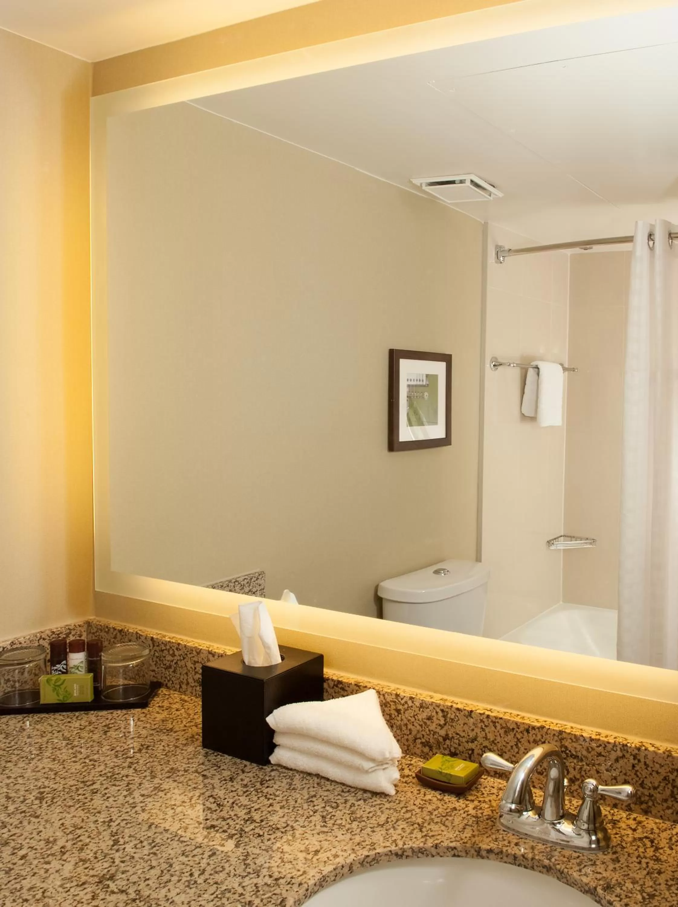 Bathroom in Embassy Suites by Hilton Nashville Airport