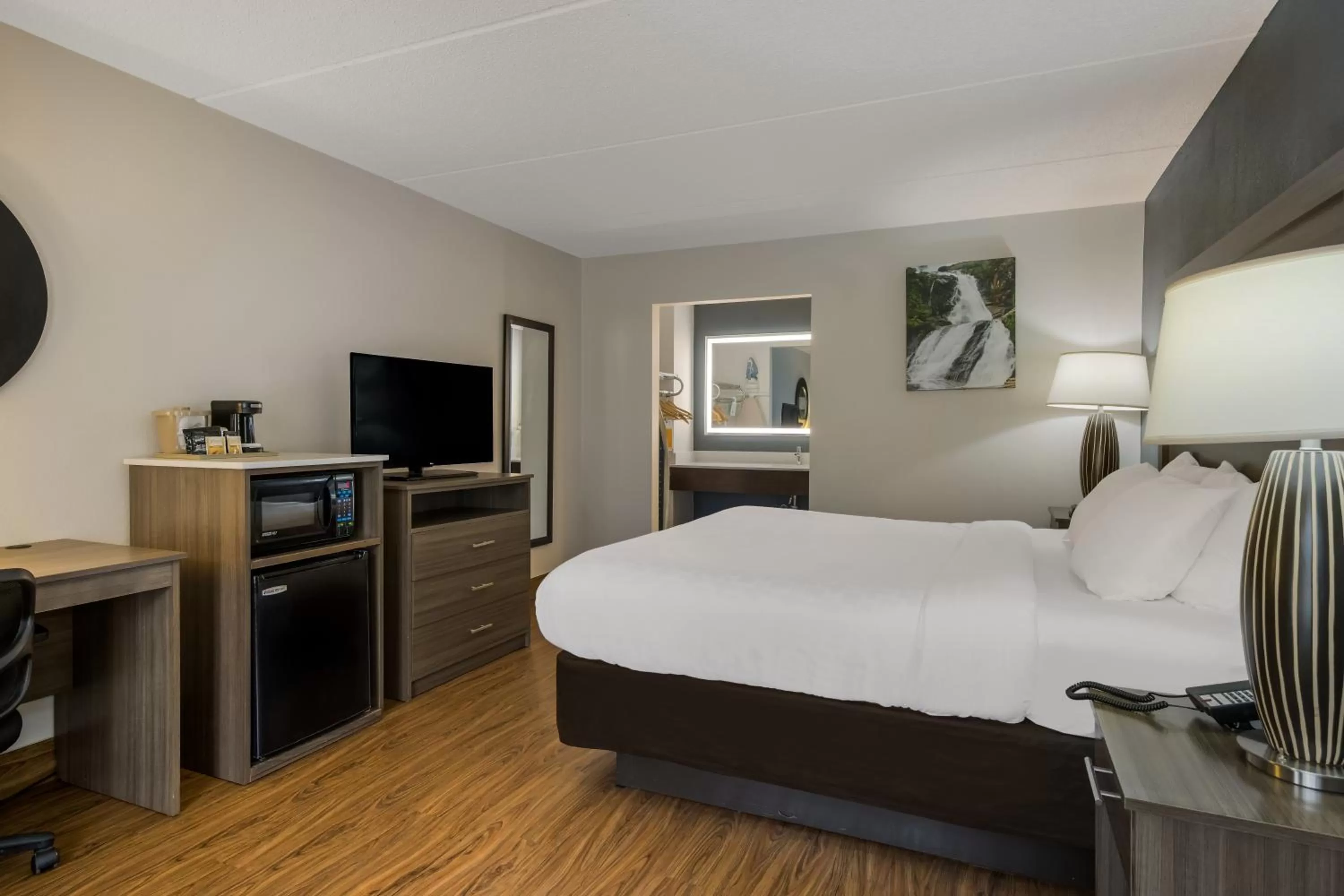 Standard King Room - Non Smoking in Quality Inn Asheville Airport