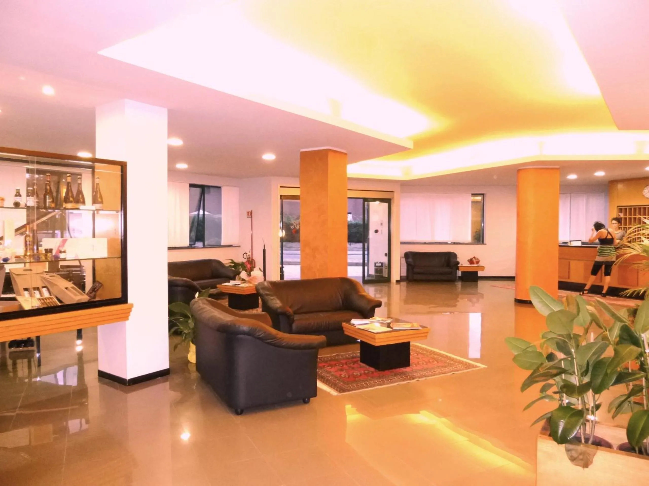 Lobby or reception in Hotel Romanisio