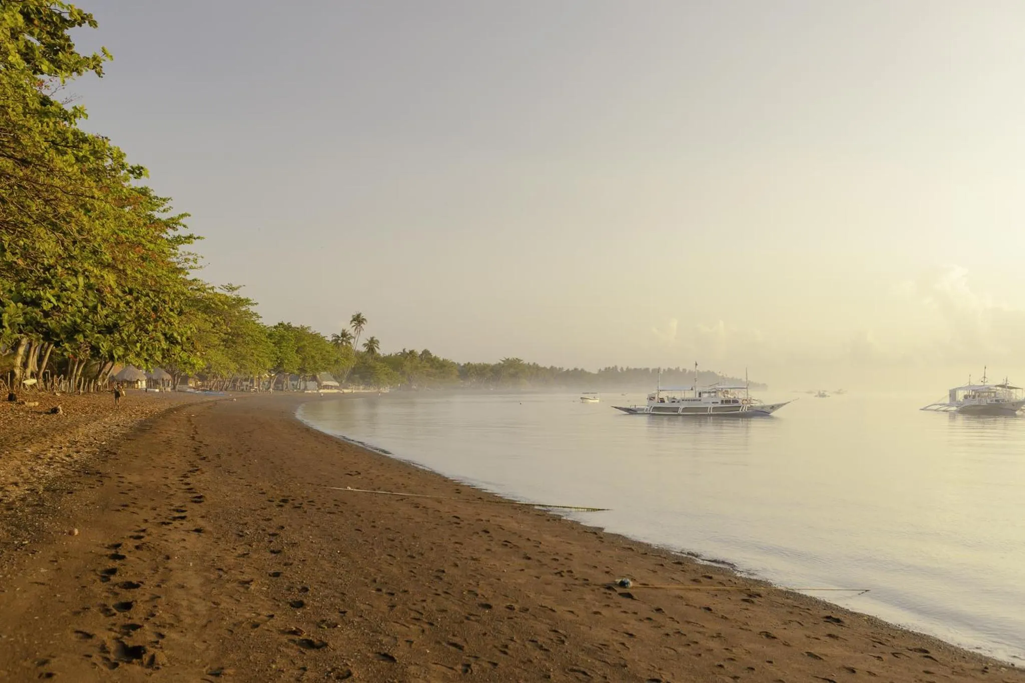 Day in Mike's Dauin Dive Resort